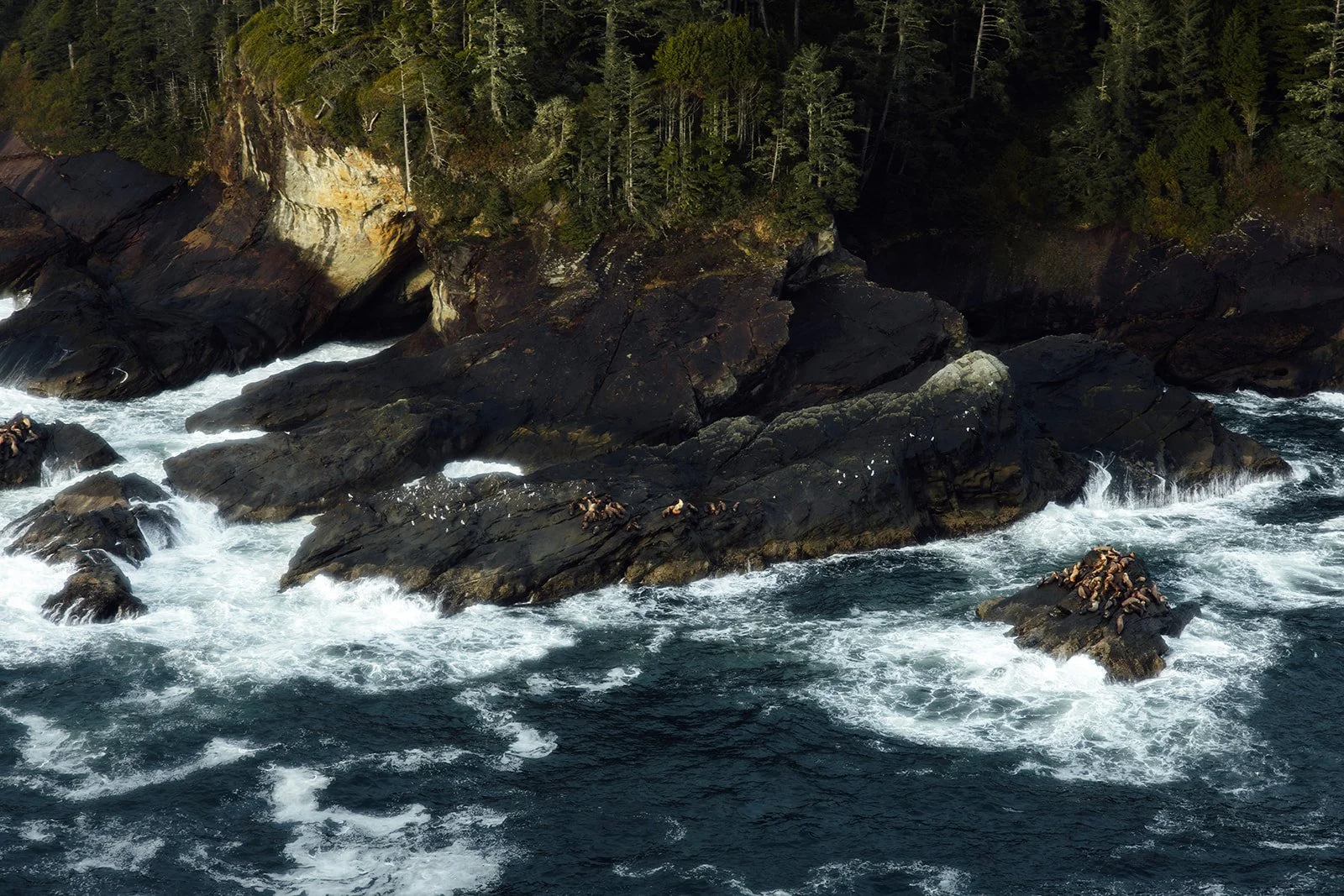 The waves on the coast of Tofino