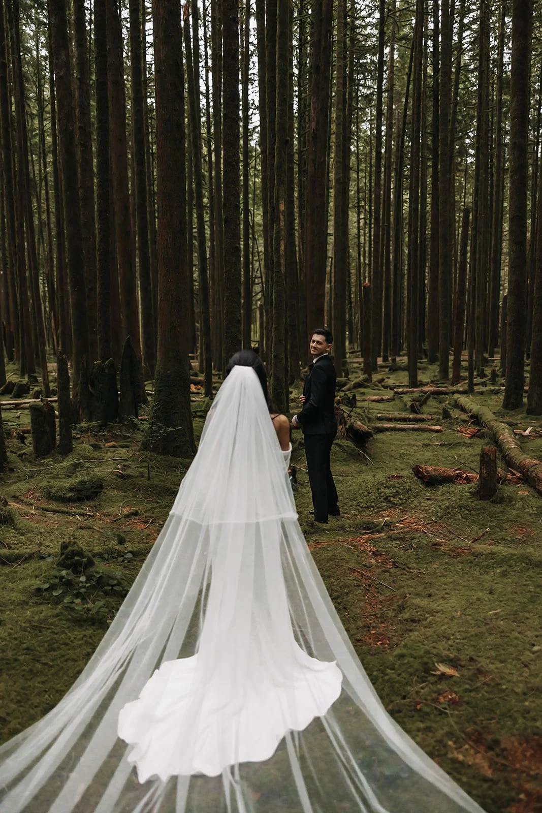 Bride and groom walking Spirea Nature Trail during their Golden Ears Provincial Park elopement.