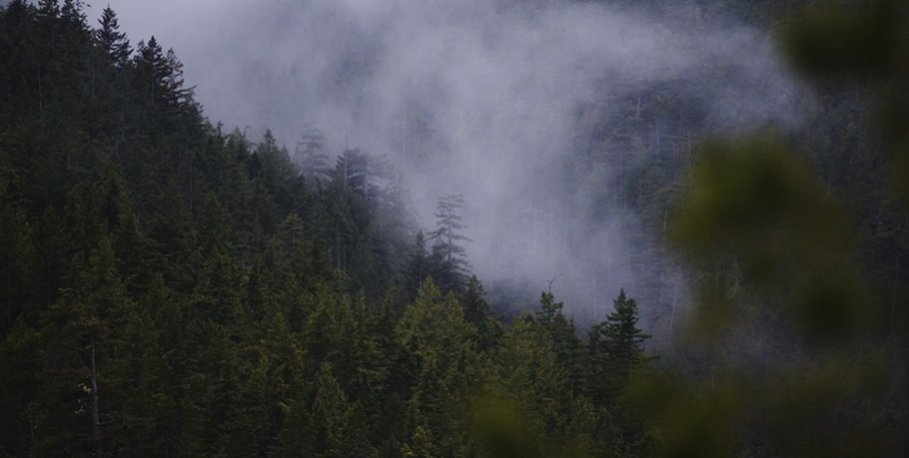 How to Plan for Rain During a Squamish Elopement