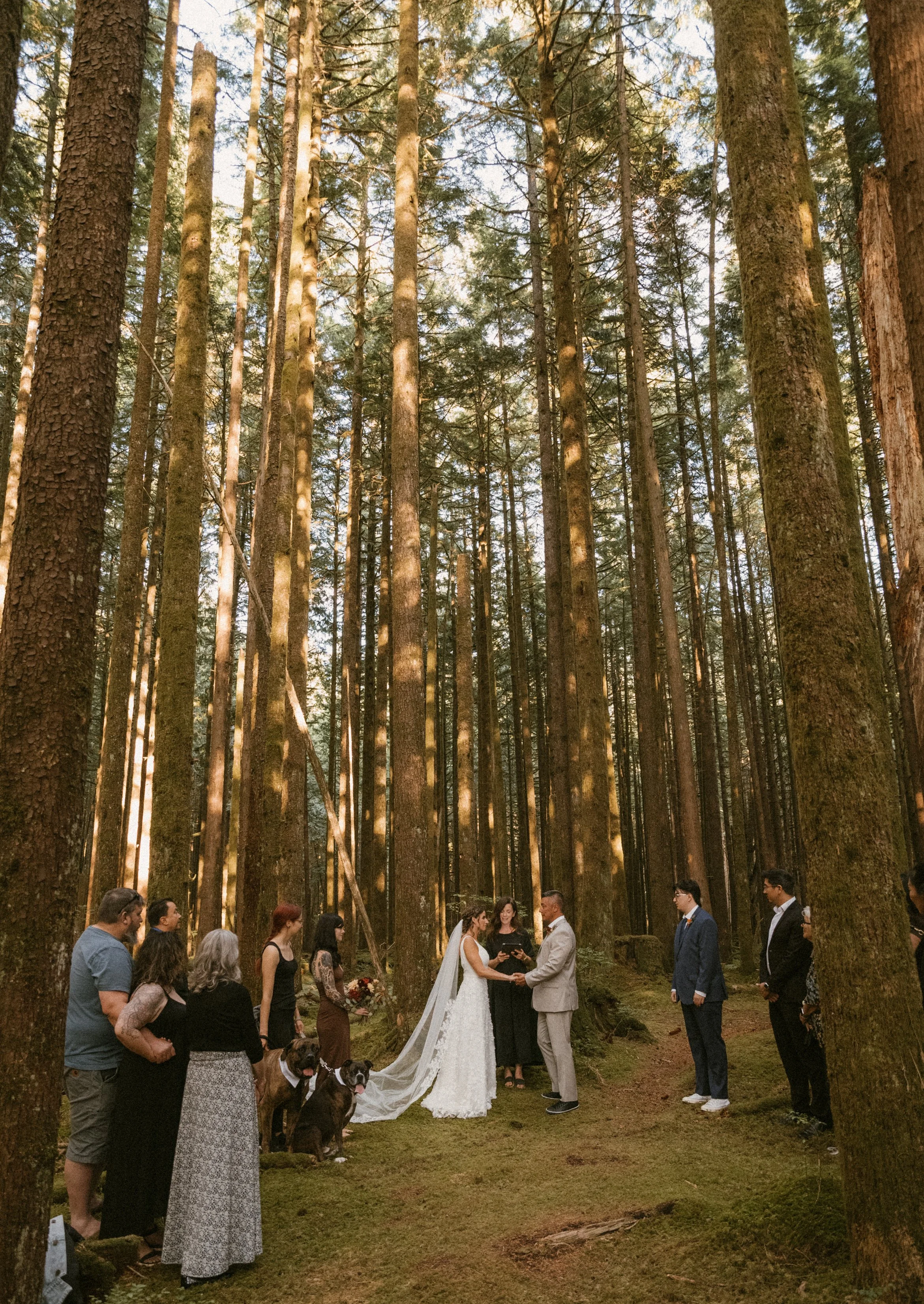 A forest wedding ceremony at Spirea Trail