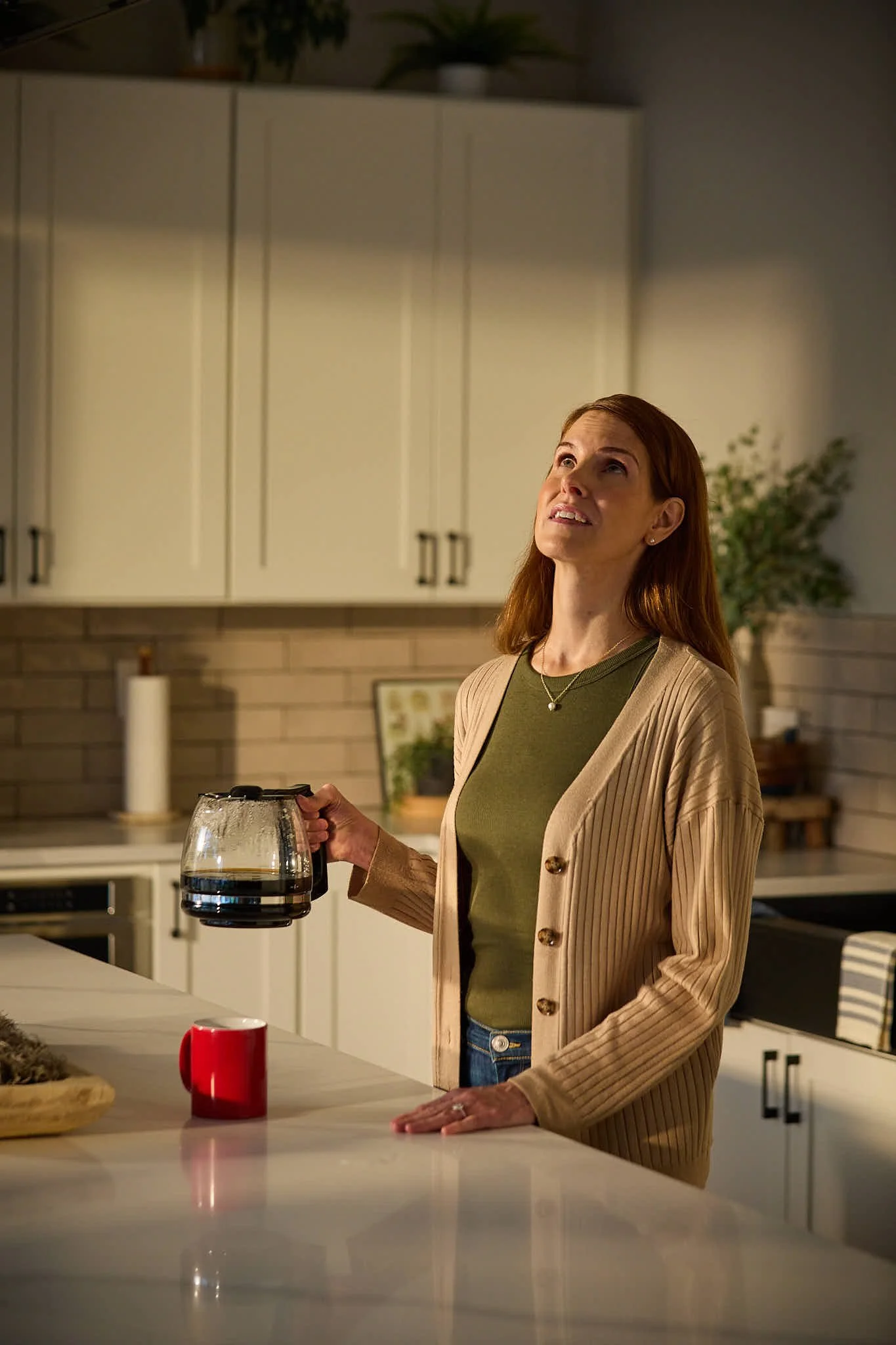 Able : Mr Roof - 19.jpg