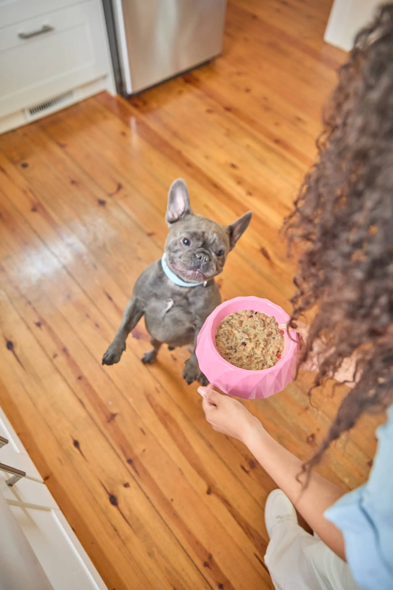 ILY Dog Food -  70.jpg