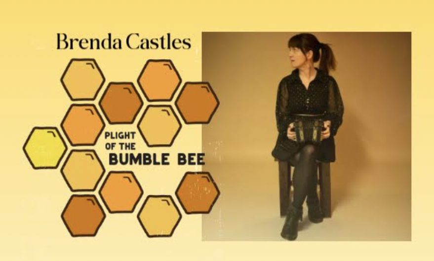 Plight of the Bumble Bee - Short Film Documentary