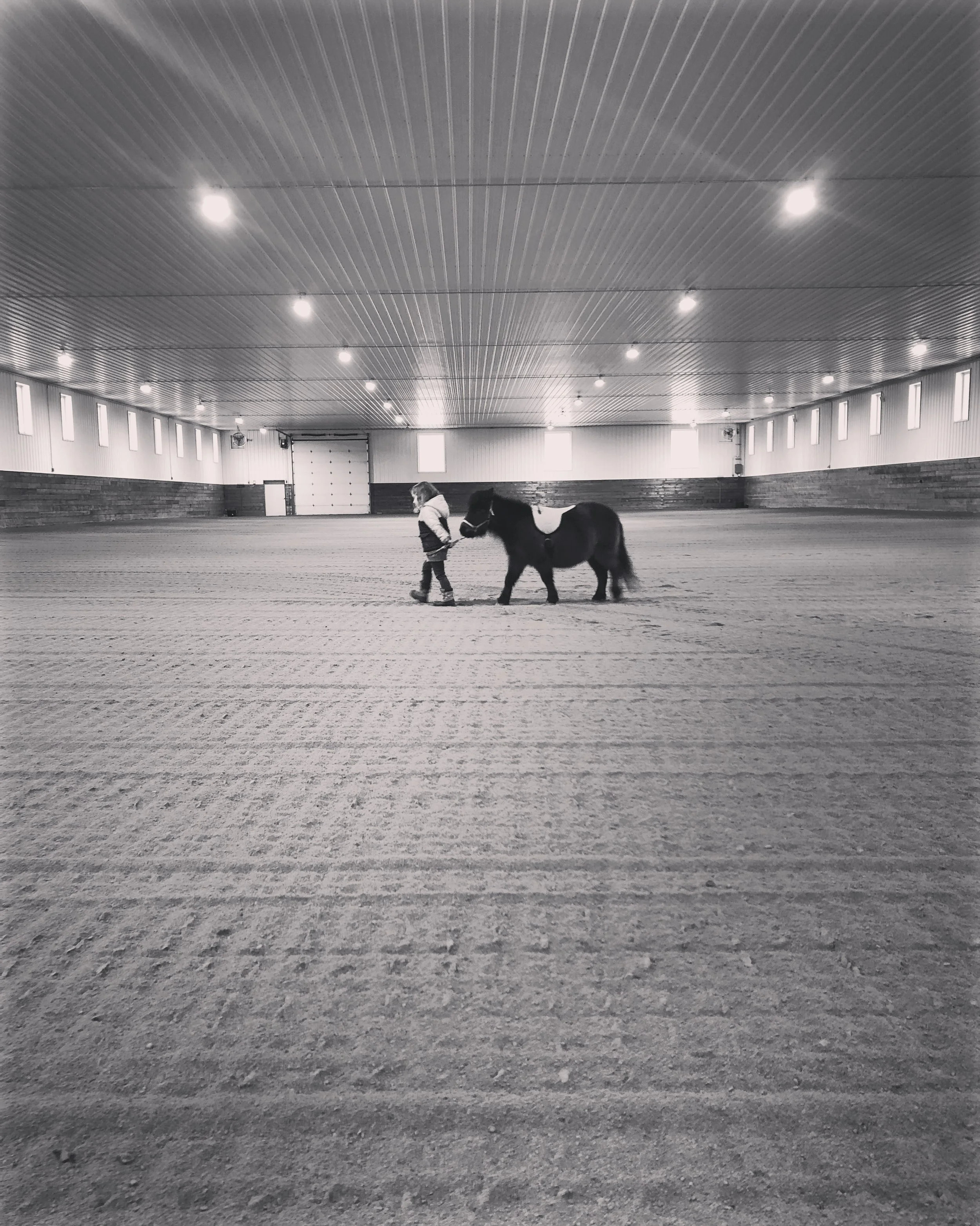 Eat, Drink and Ride Horses; Trusting God &amp; Living in the Present