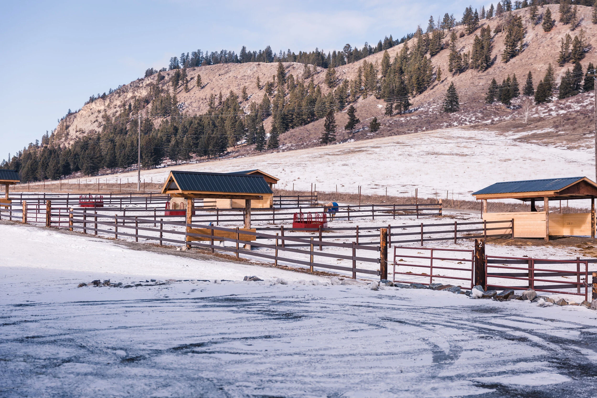 Six outdoor paddocks offer covered automatic water tubes, as well as access to a hand pump, covered run-in sheds, and round bale feeders with slow-feed nets. 