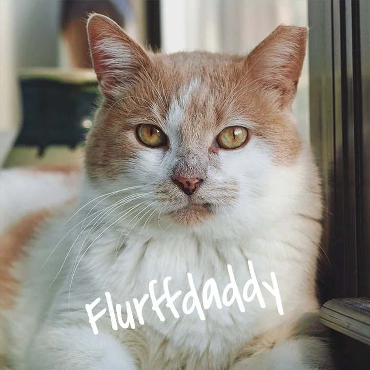 flurffdaddy_2.jpg