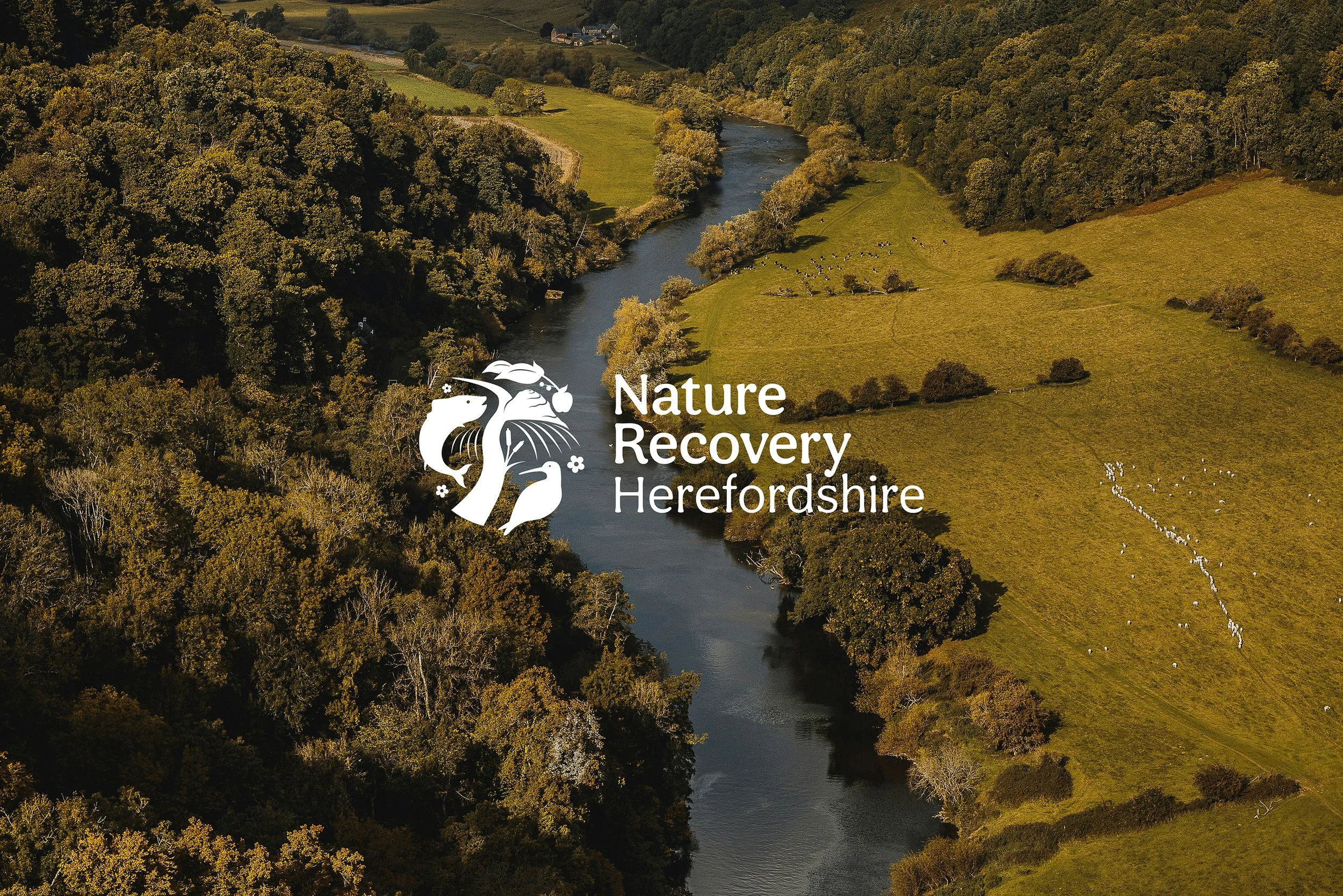 Herefordshire Council