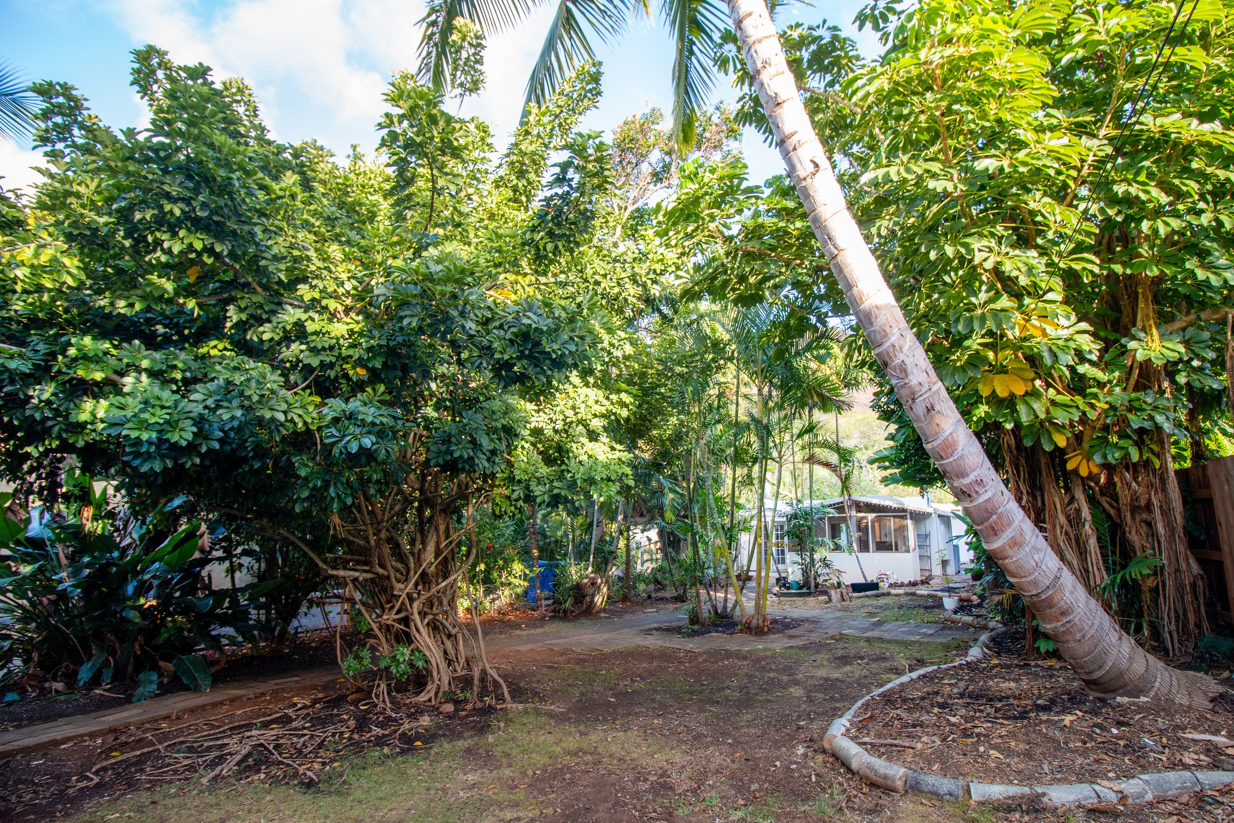 Garden area between the dwellings