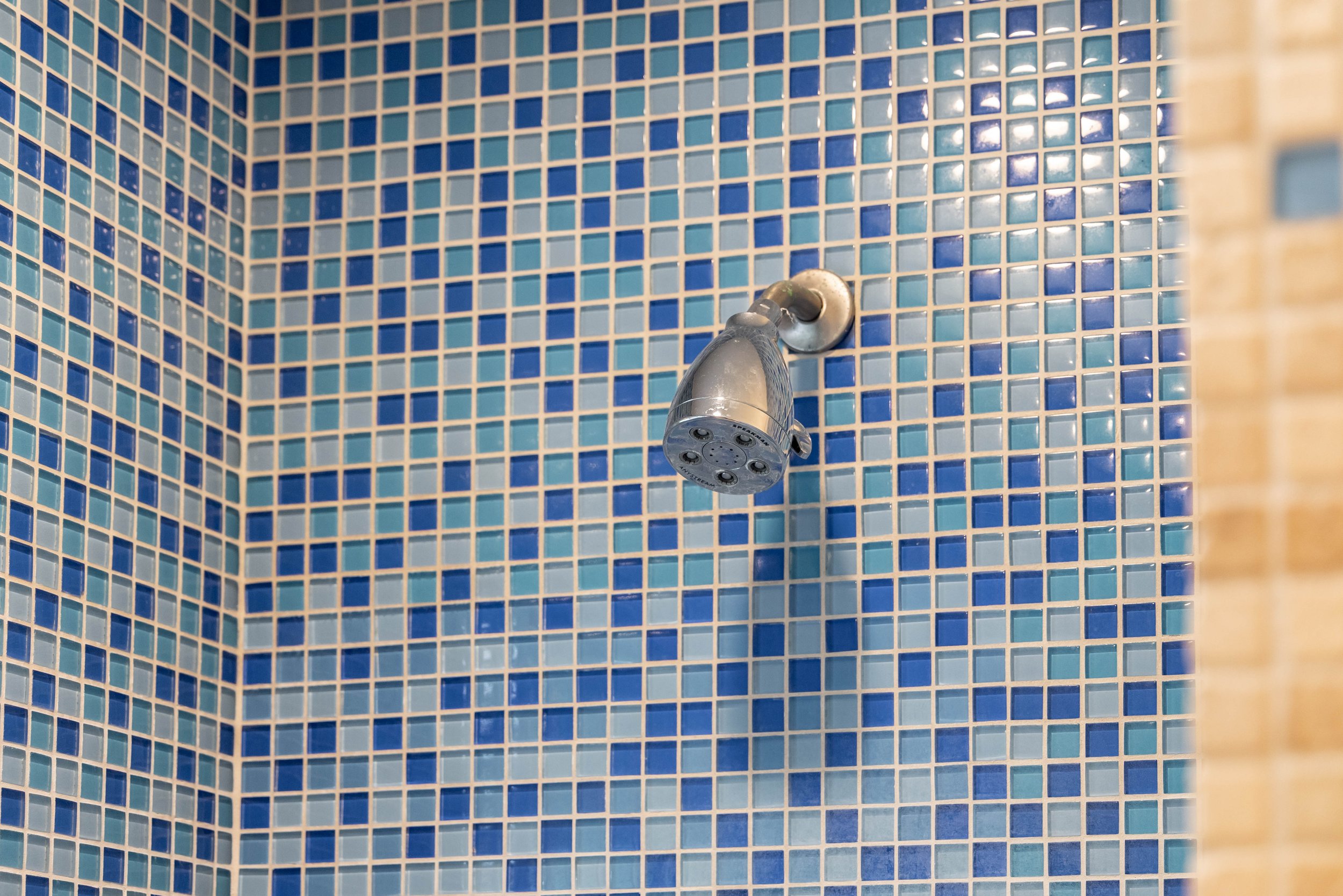 Primary bathroom shower