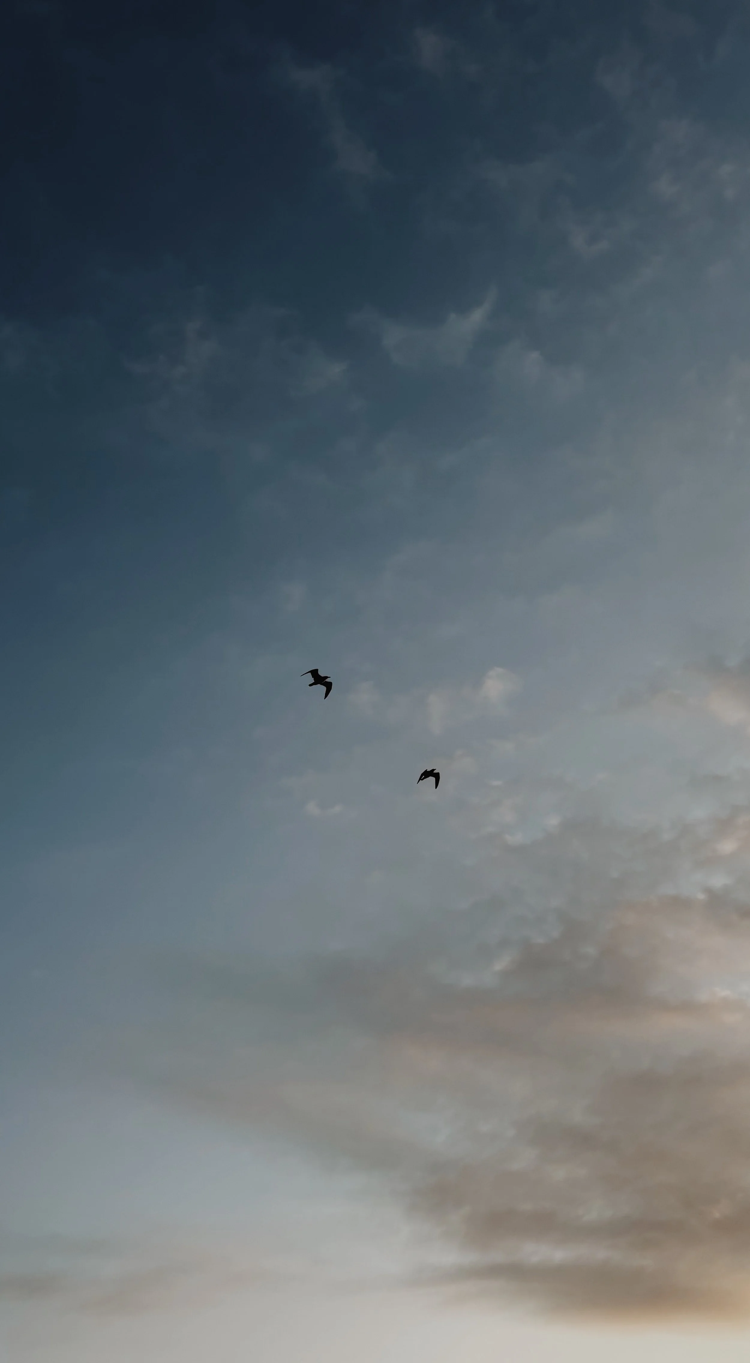 Transform Your Life with Hypnotherapist and Coach Kristine Irving