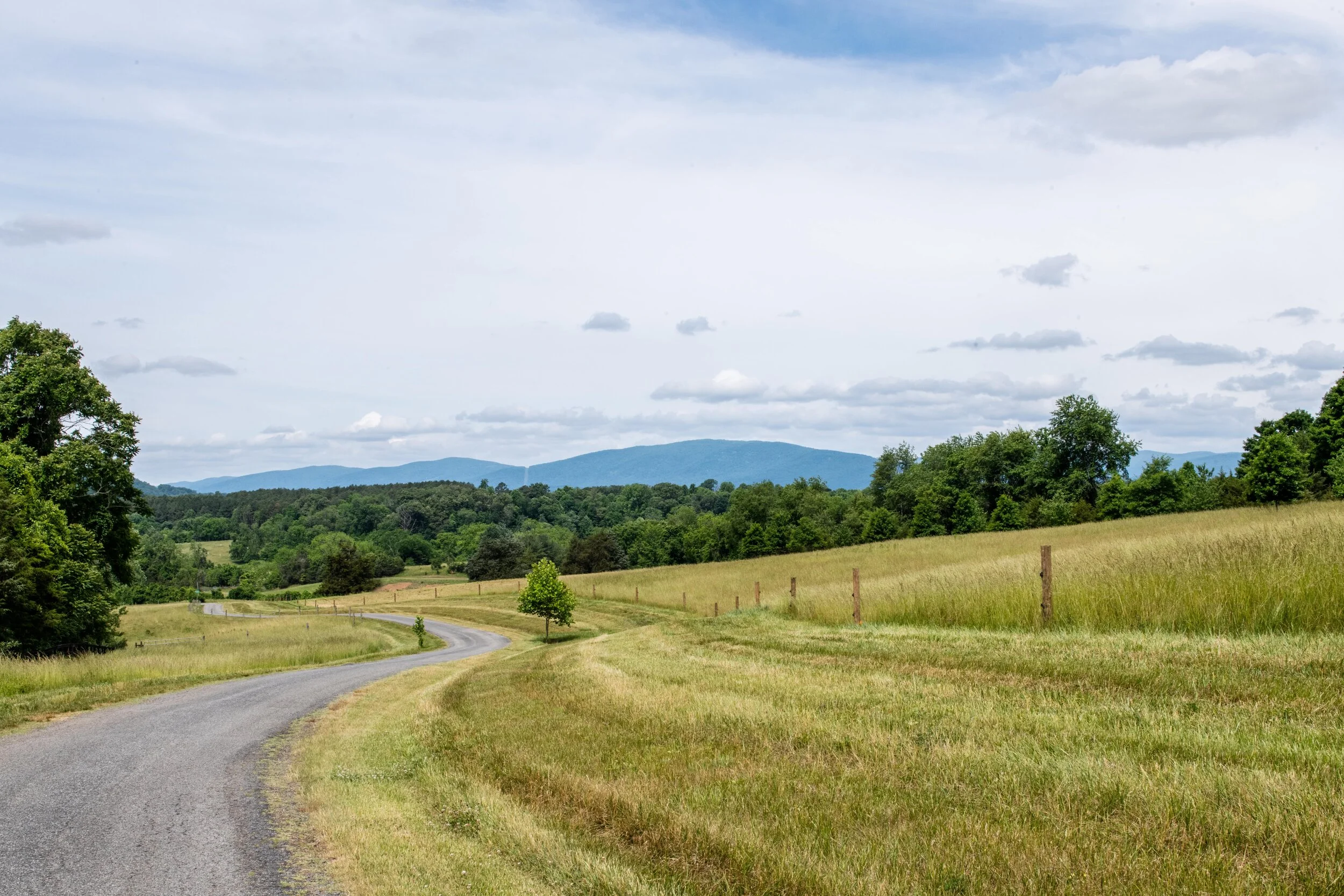 Windy Road into Oakencroft Farm