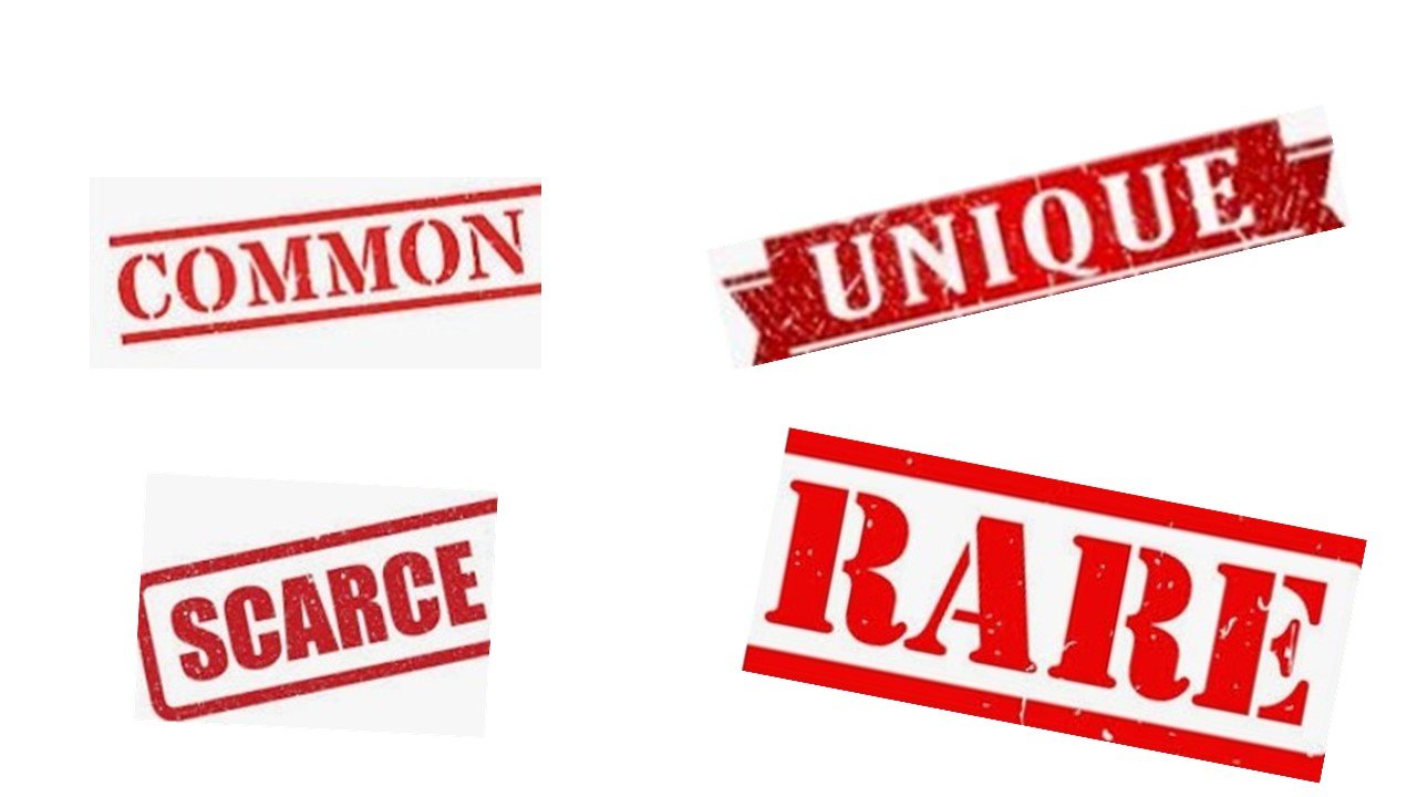 How to Classify Chalet Common to Unique Pieces