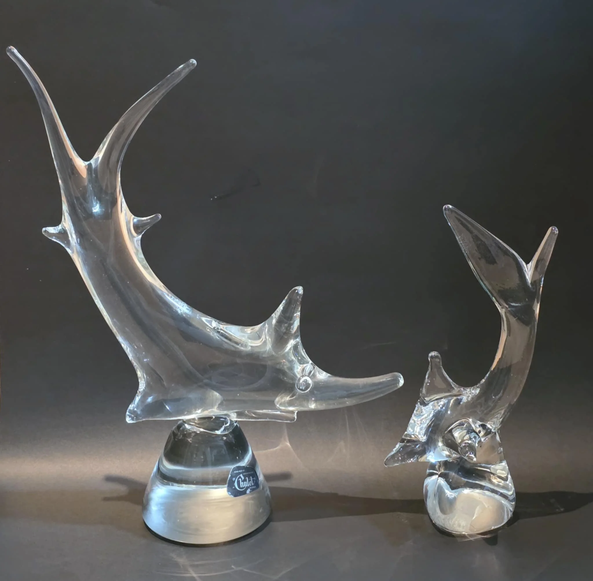 Can you believe this couple!!!!!!!!!!!!!!! gionny Gueli has a very big aquarium!