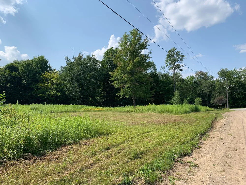 Kay Delano Real Estate (315)8267070