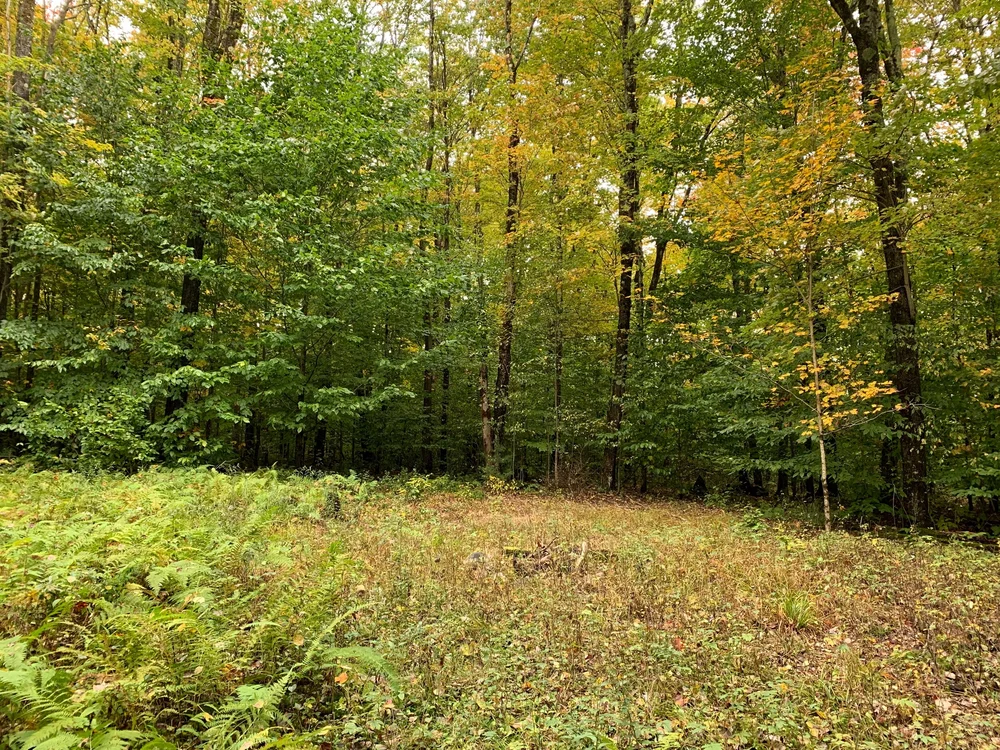 Kay Delano Real Estate (315)8267070