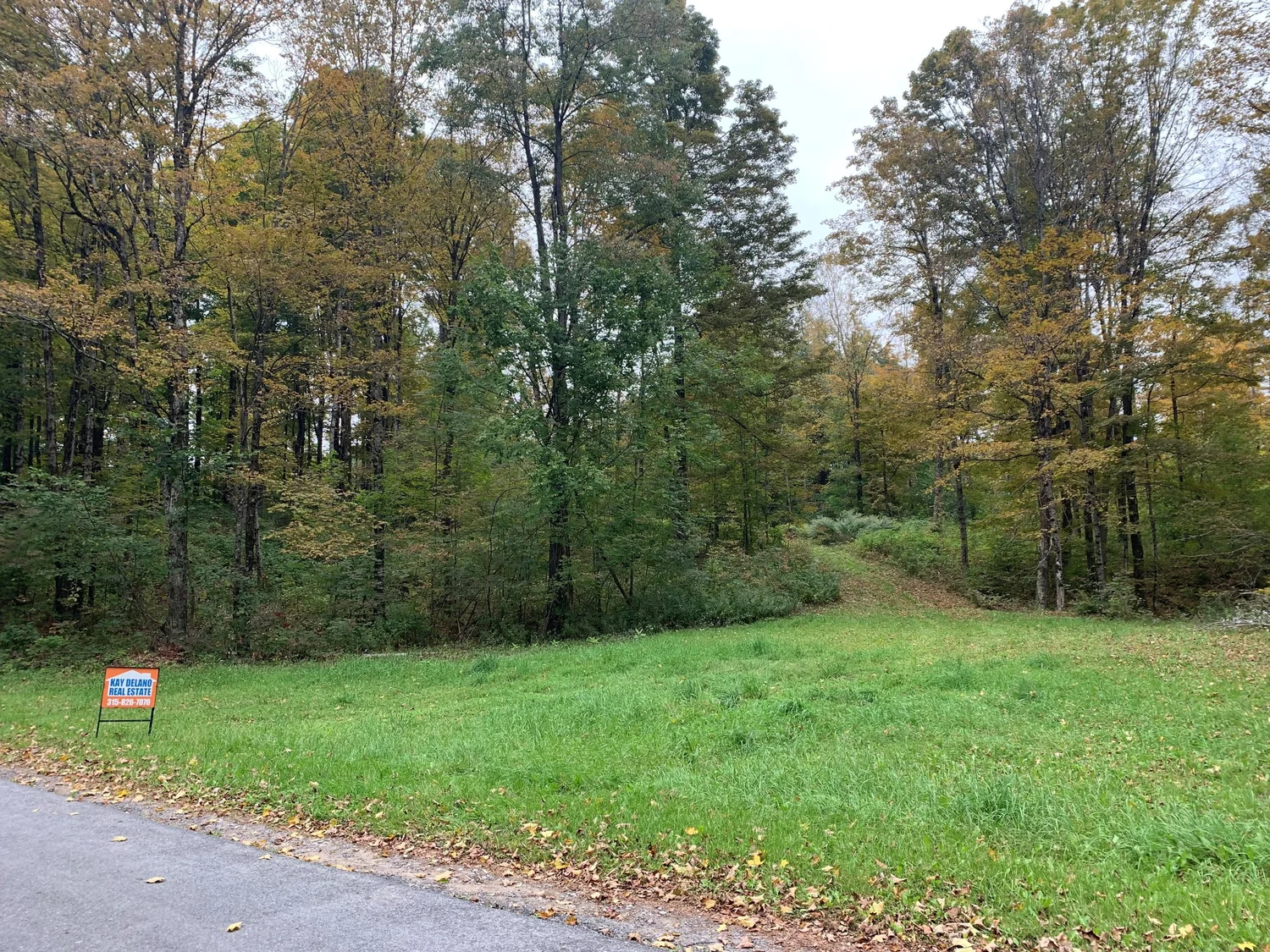 Kay Delano Real Estate (315)8267070