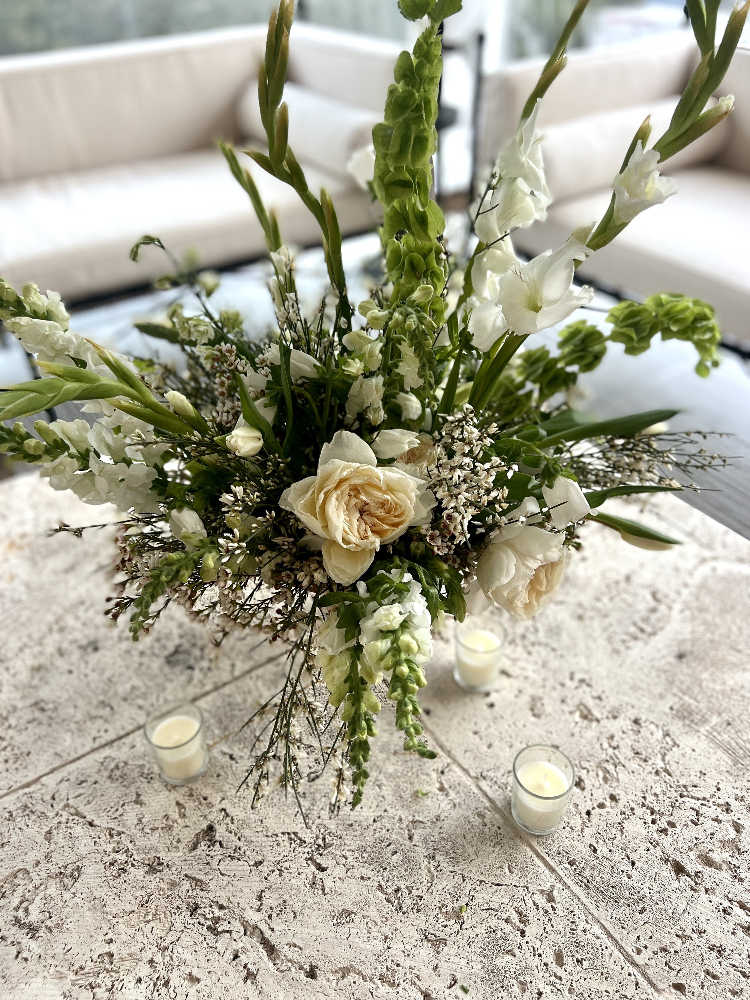 Photo Jan 20 2024, 4 48 36 PM.jpg