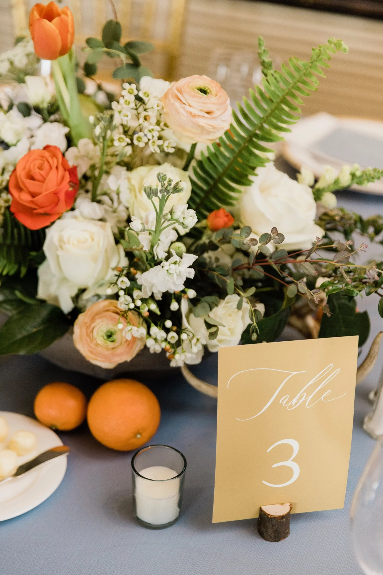 Photo Mar 24 2023, 4 50 55 PM.jpg