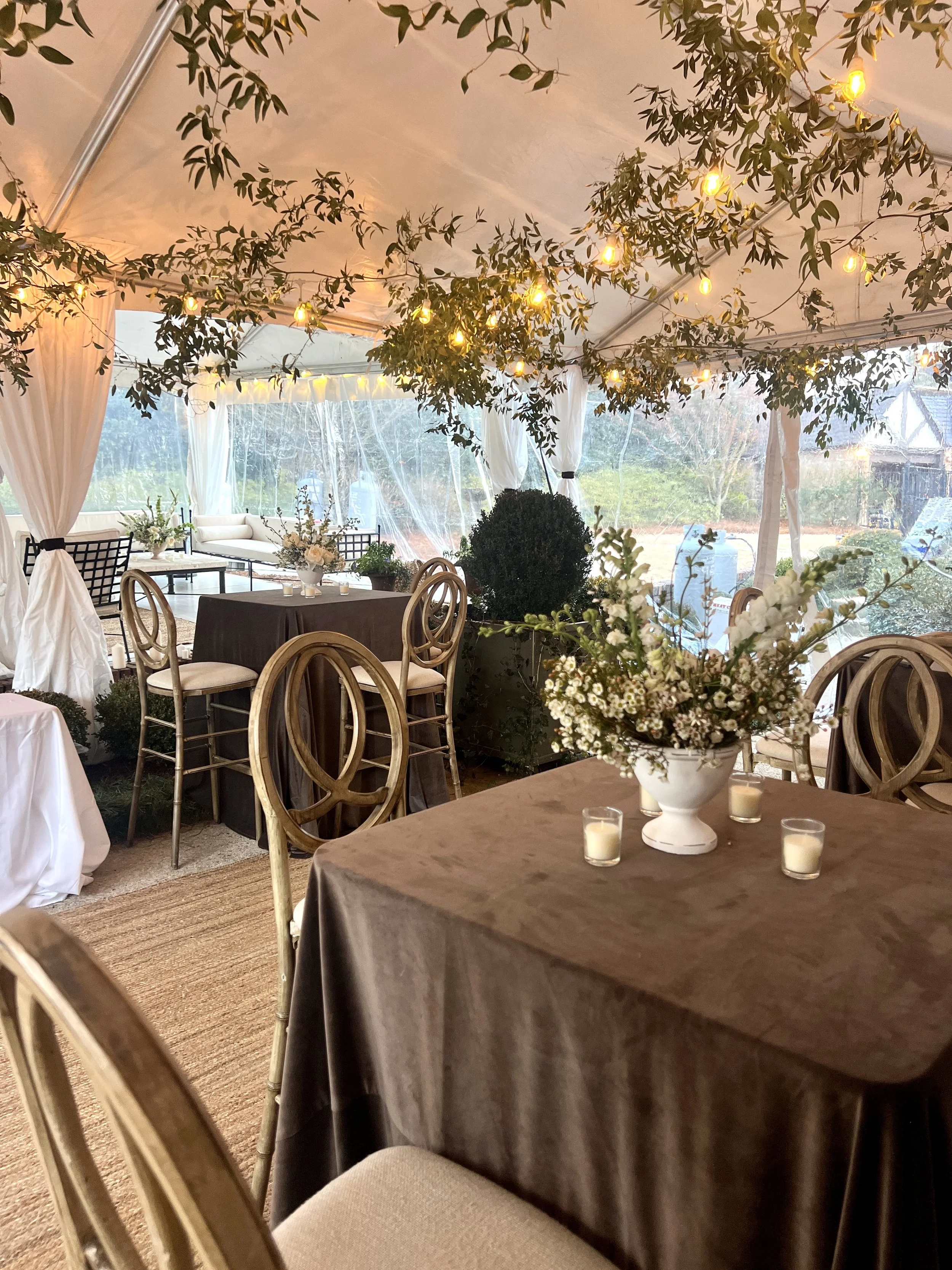 Photo Jan 20 2024, 4 45 54 PM.jpg