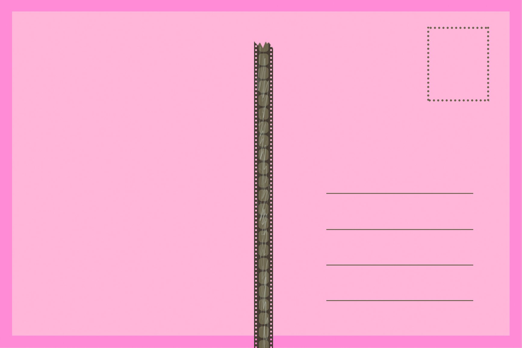 BACK1.jpg