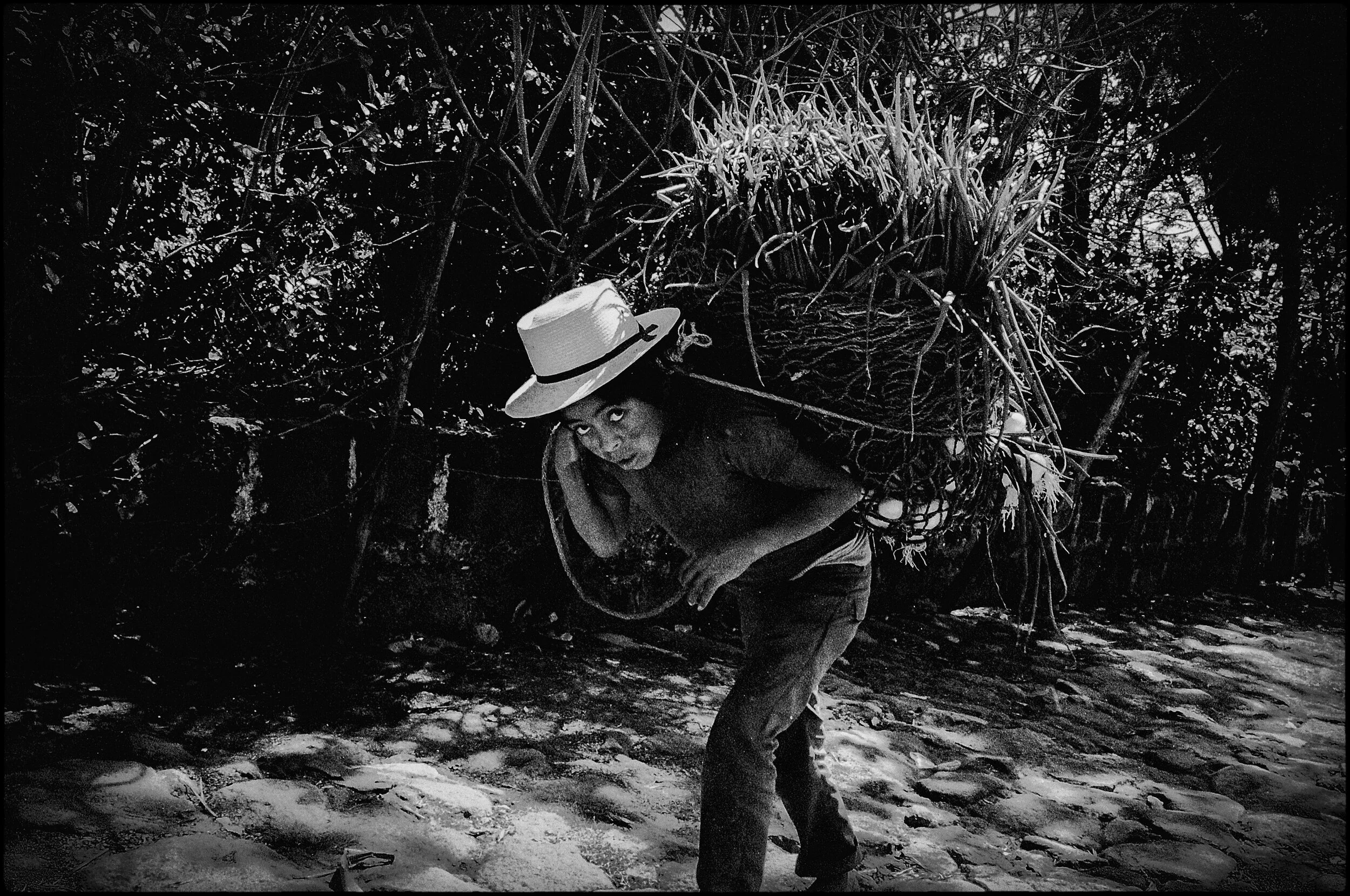 1970's Digitized negatives-152-Edit.jpg