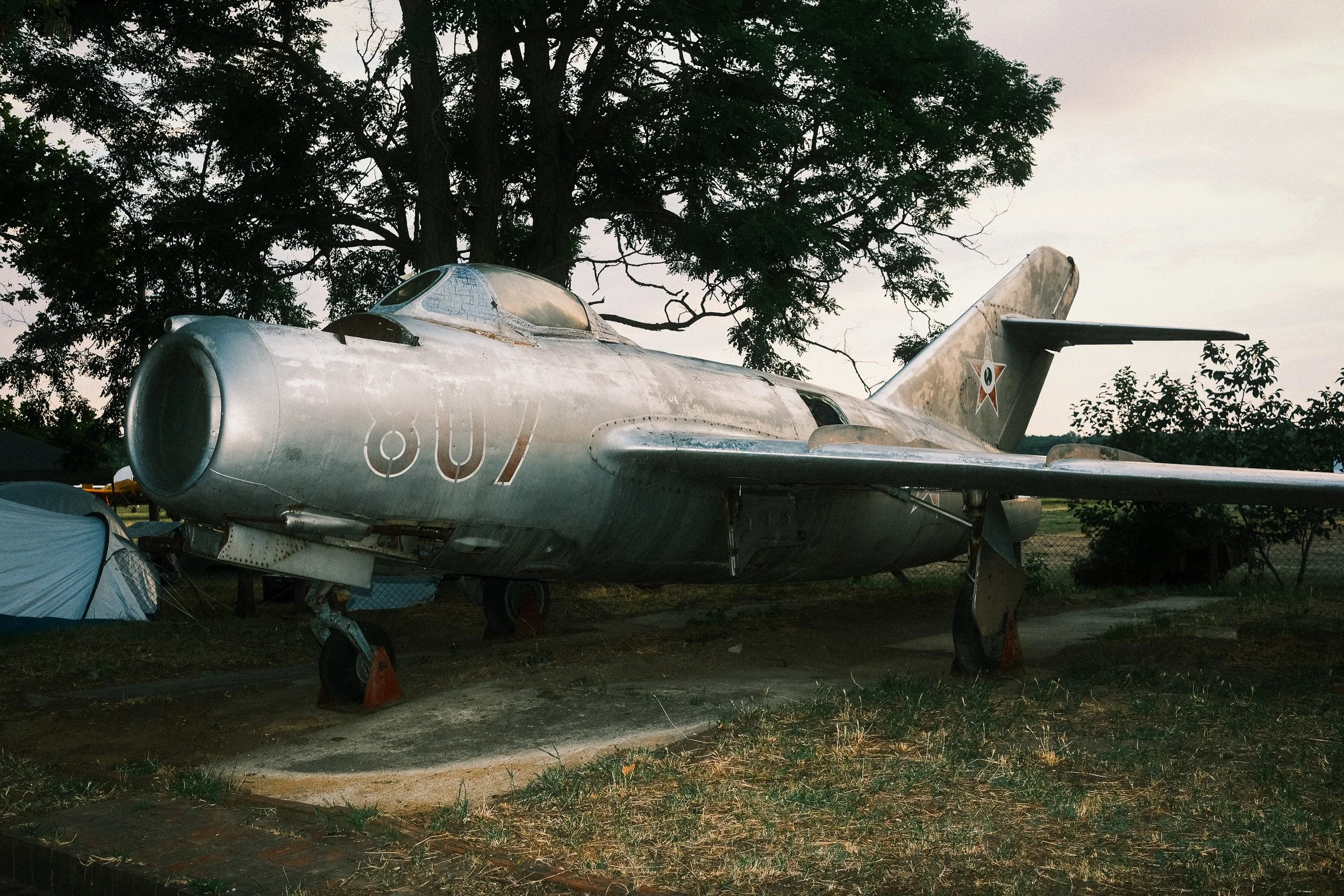 A MiG-15 fighter jet has been resting under the trees for decades