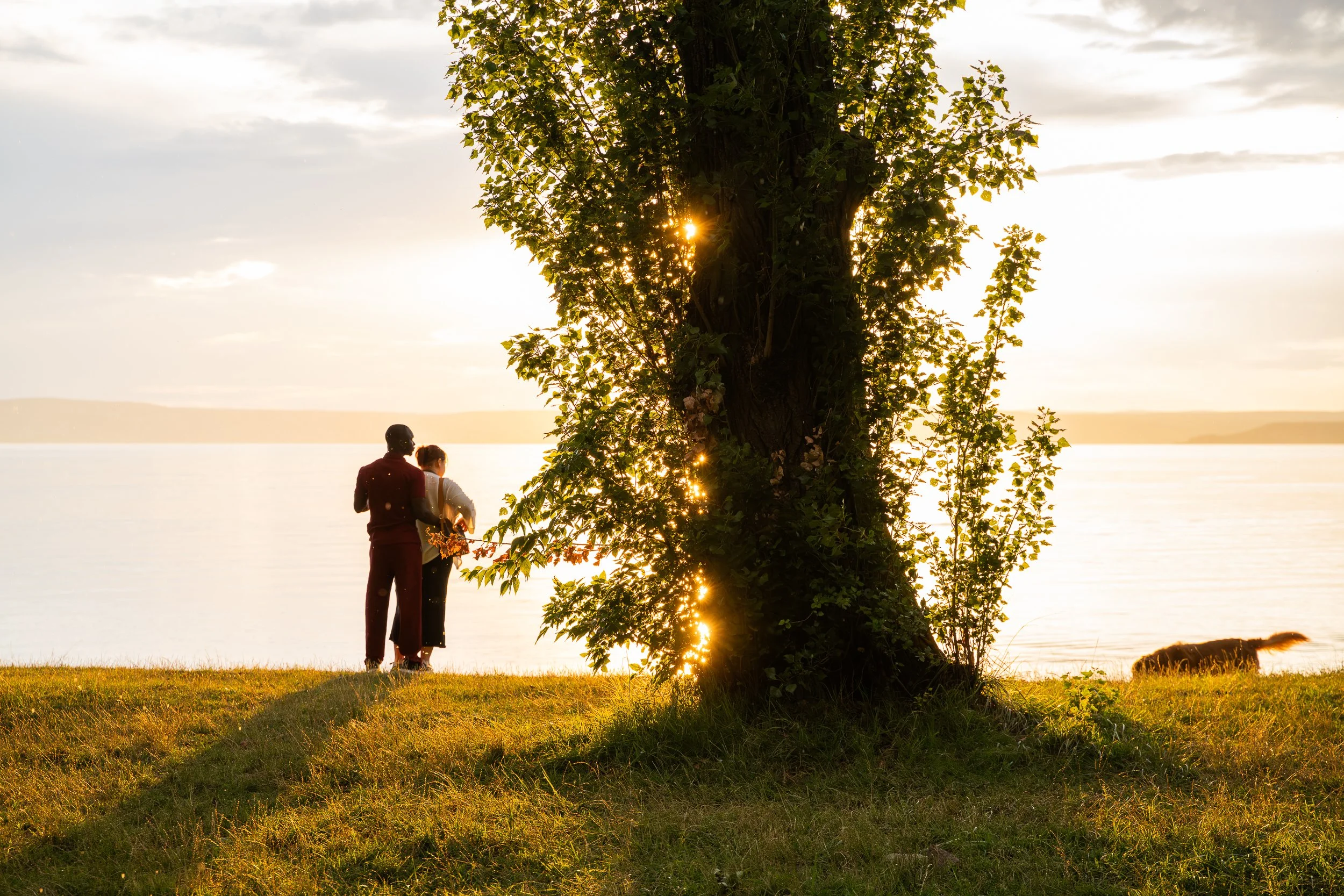 A couple with their dog on the lakeshore