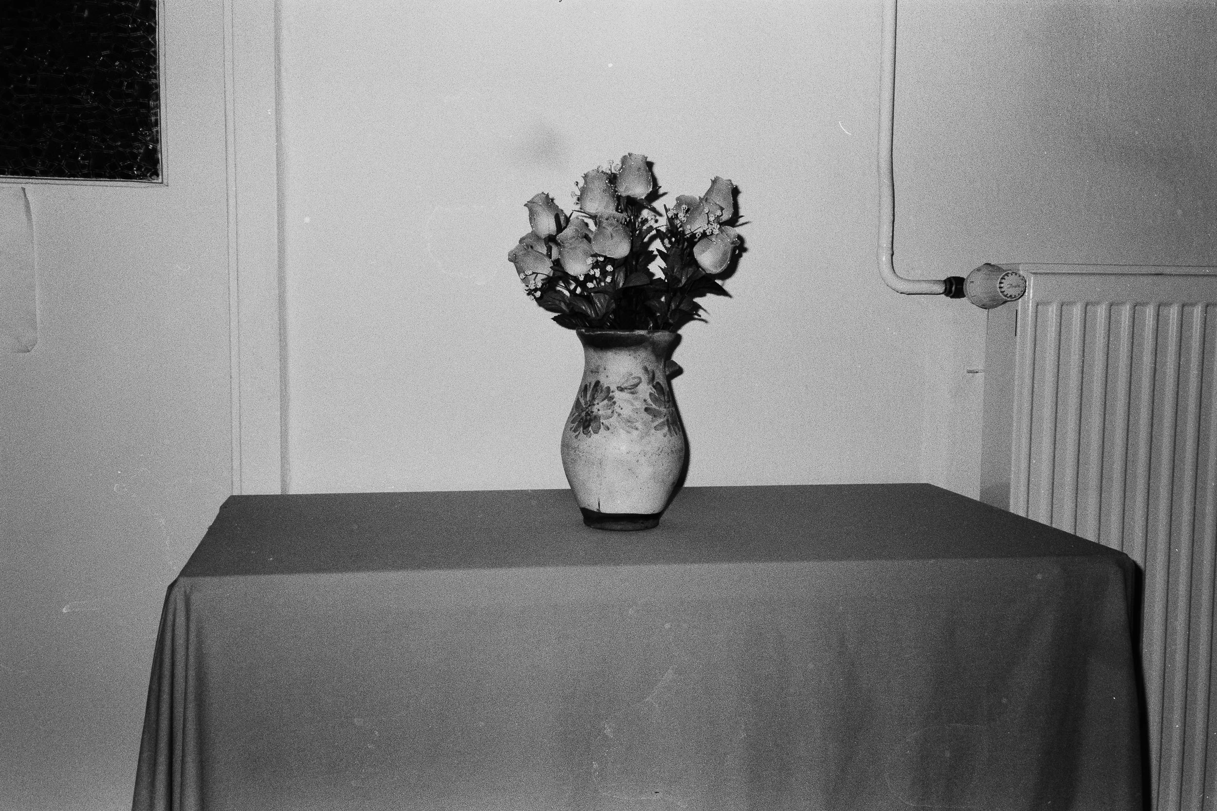 A found flower still life. 2025.