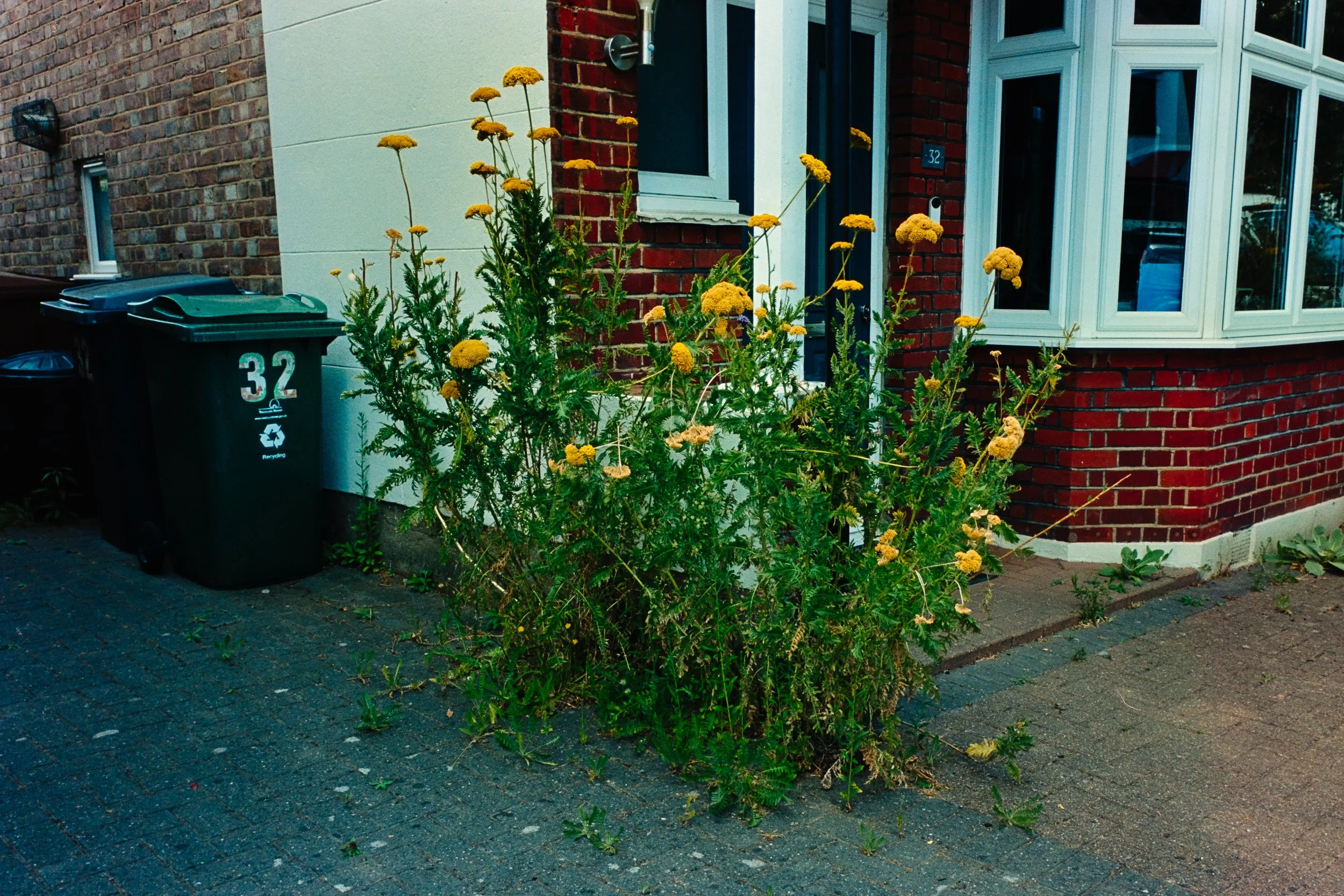 DSC01854.jpg