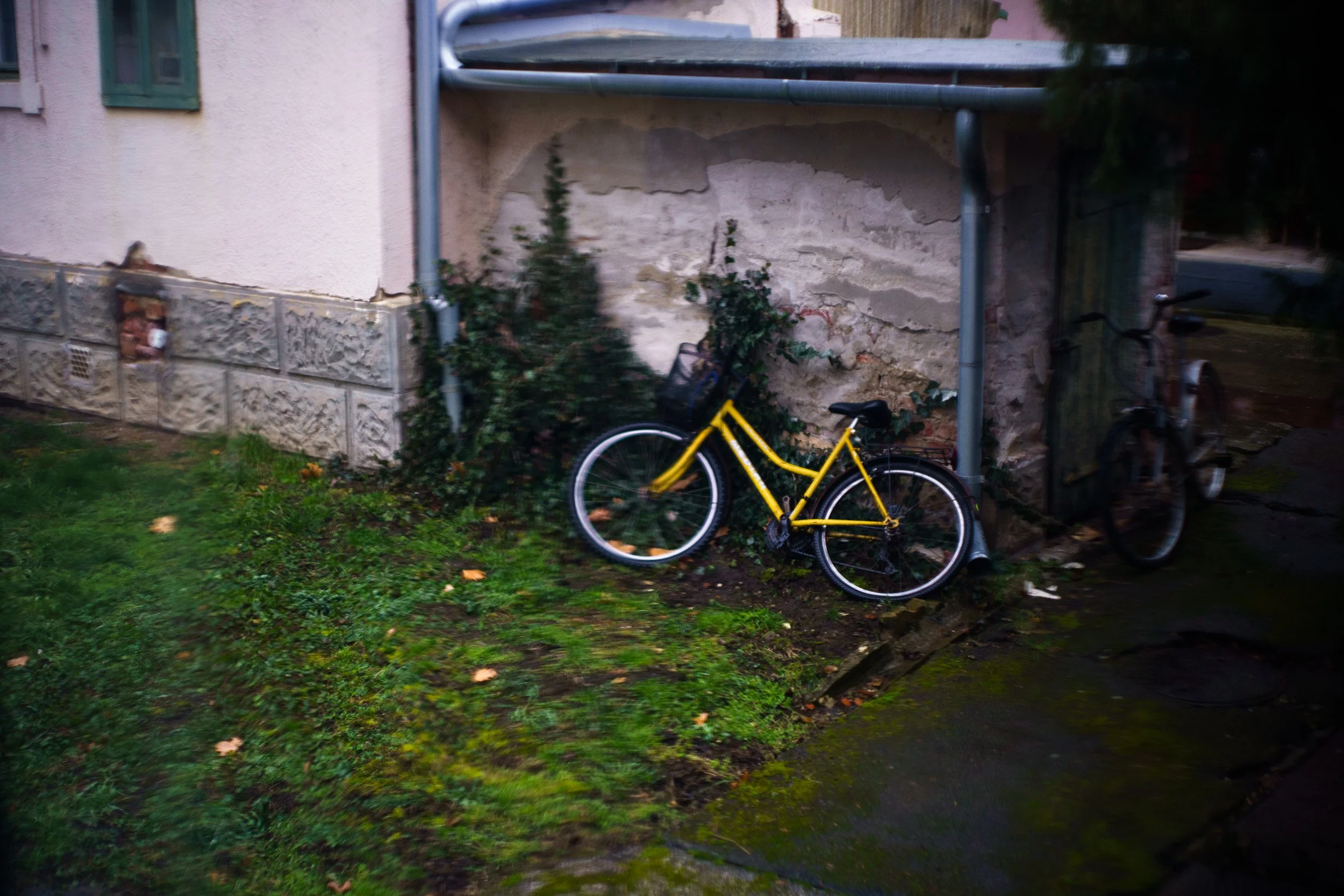 DSC08088.jpg