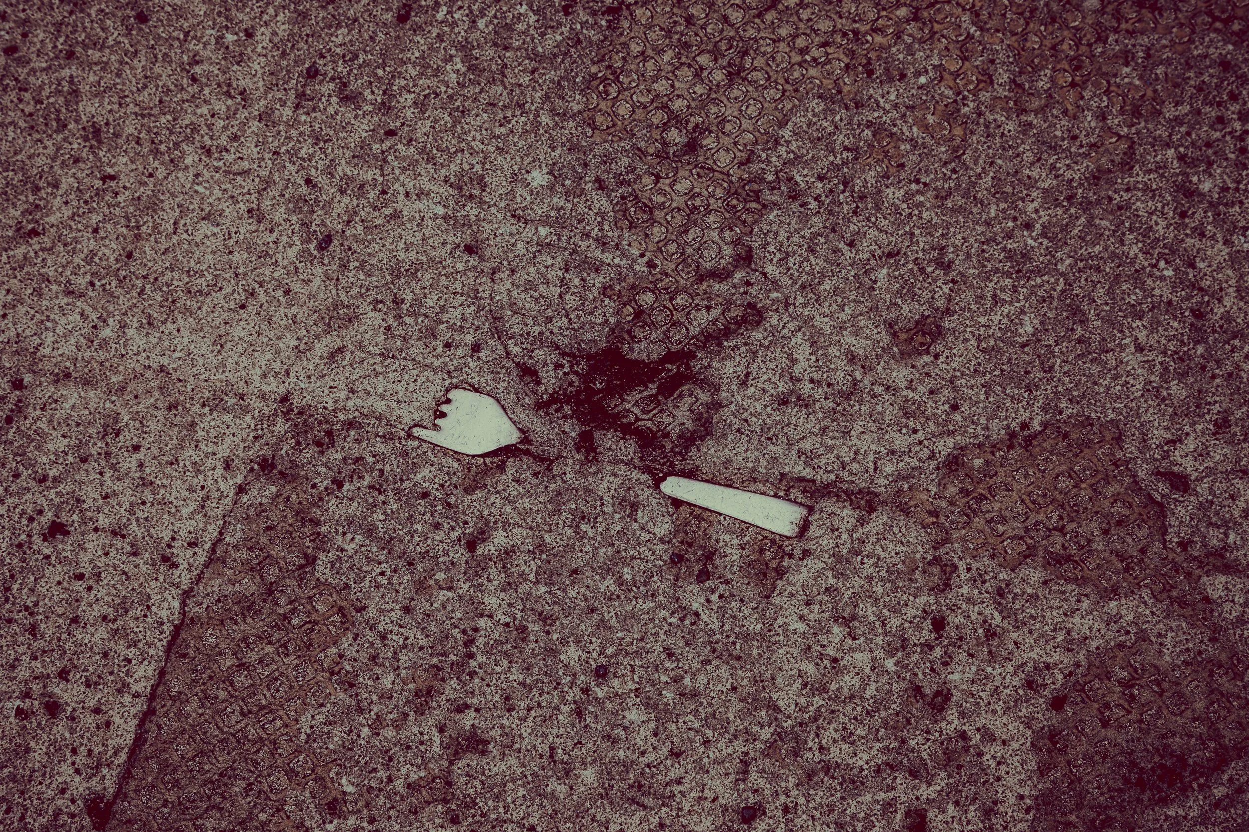 _MG_3671.jpg
