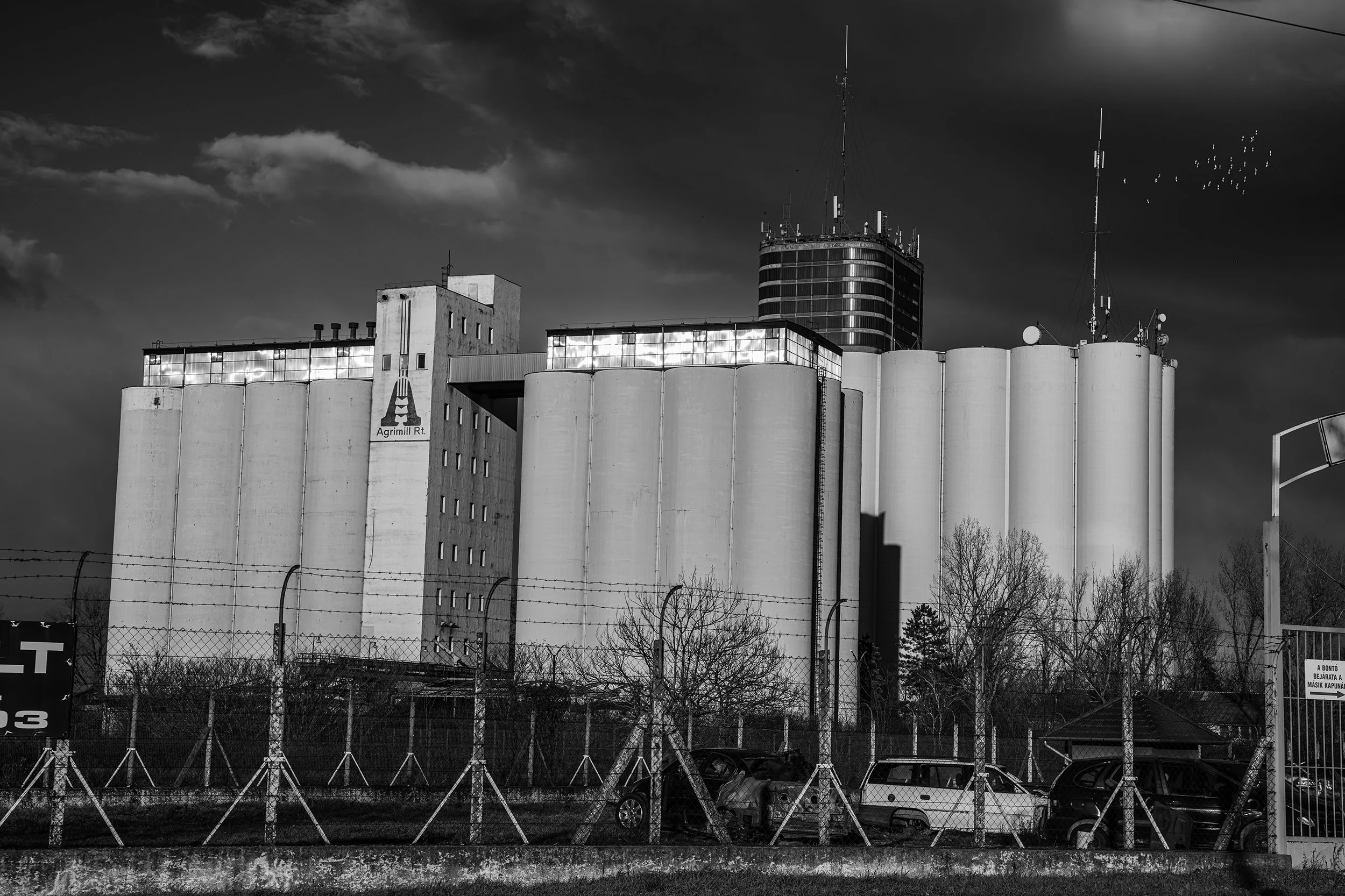 Grain silo. 2025.