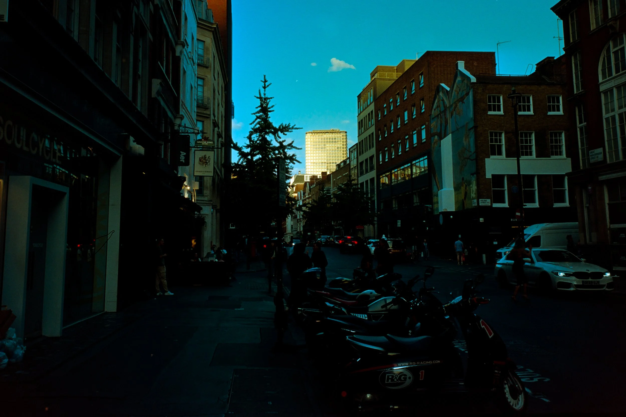 DSC01853.jpg