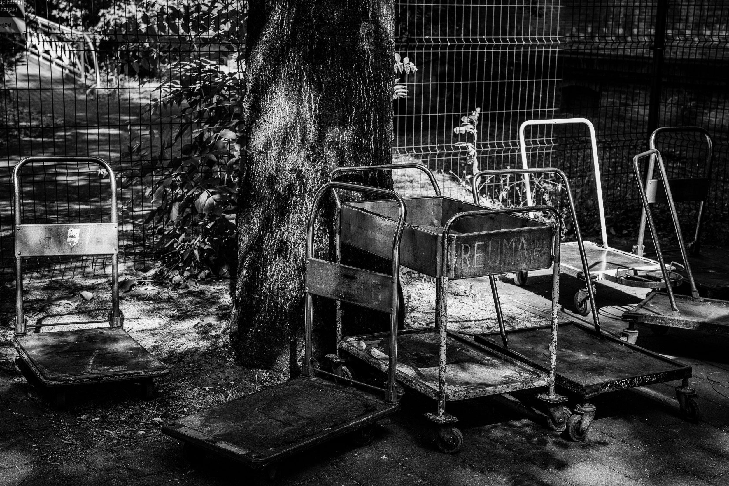
Hospital trolleys. 2024.