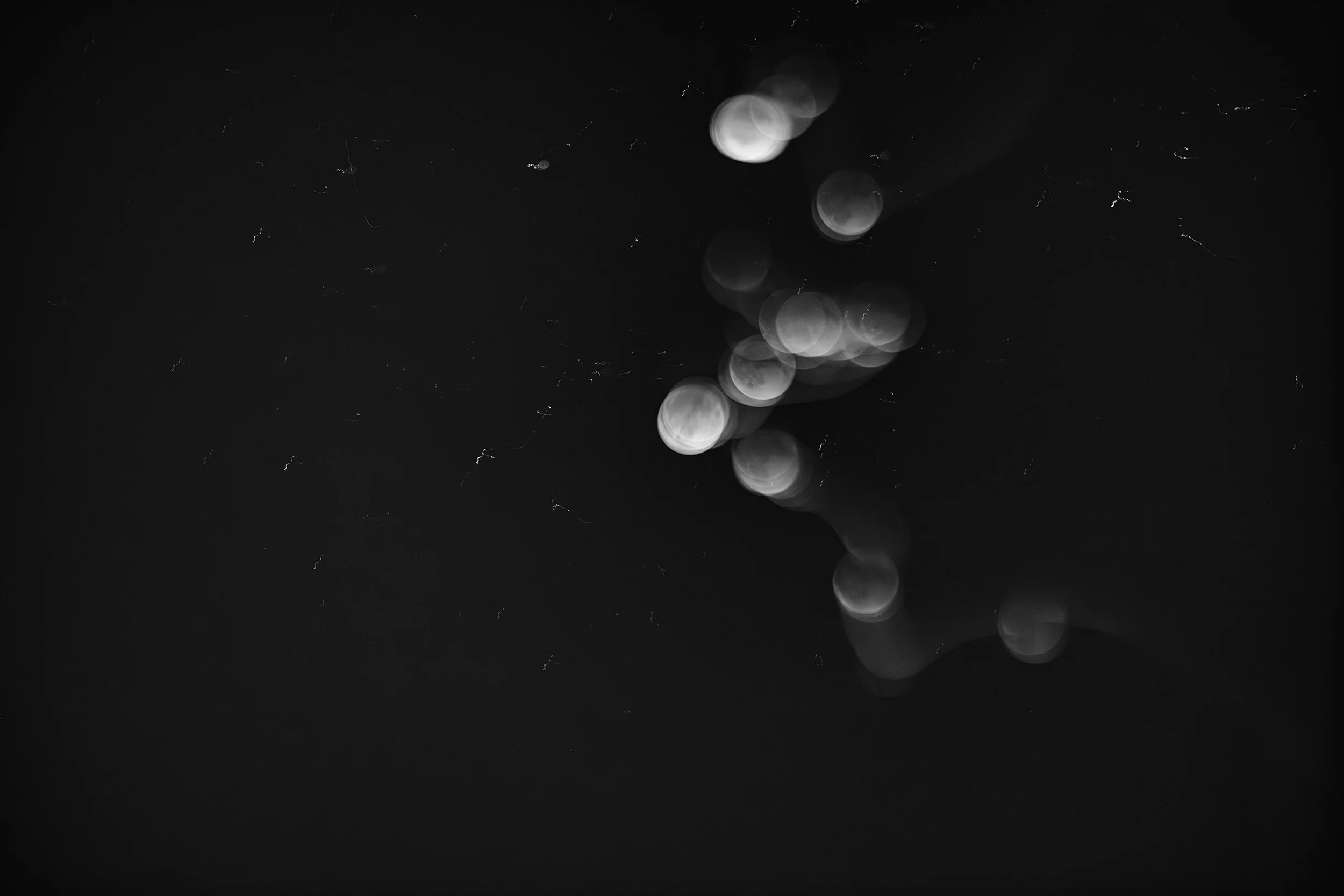 Hunting for the Blood Moon. 2025.