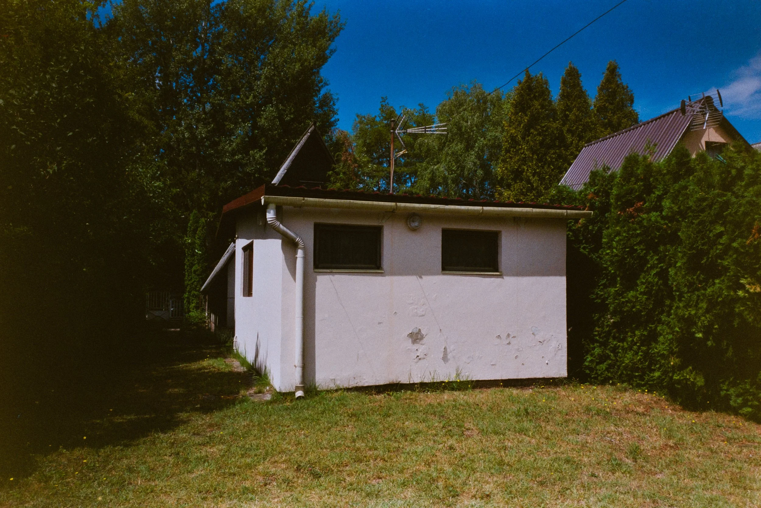 DSC01535.jpg