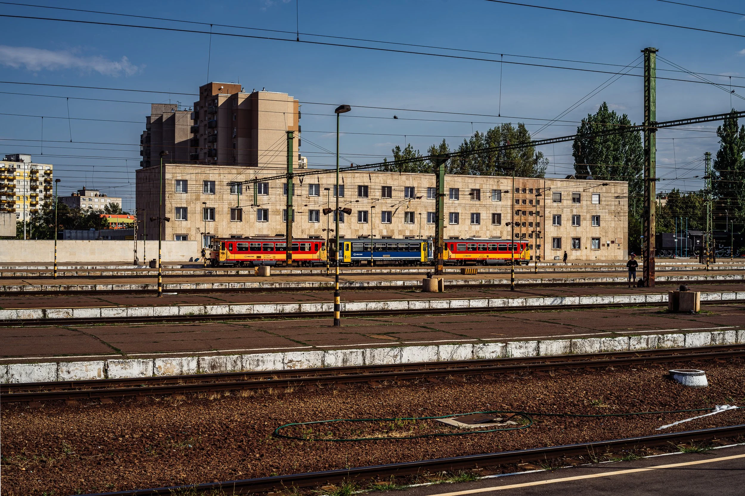 DSC00965.jpg