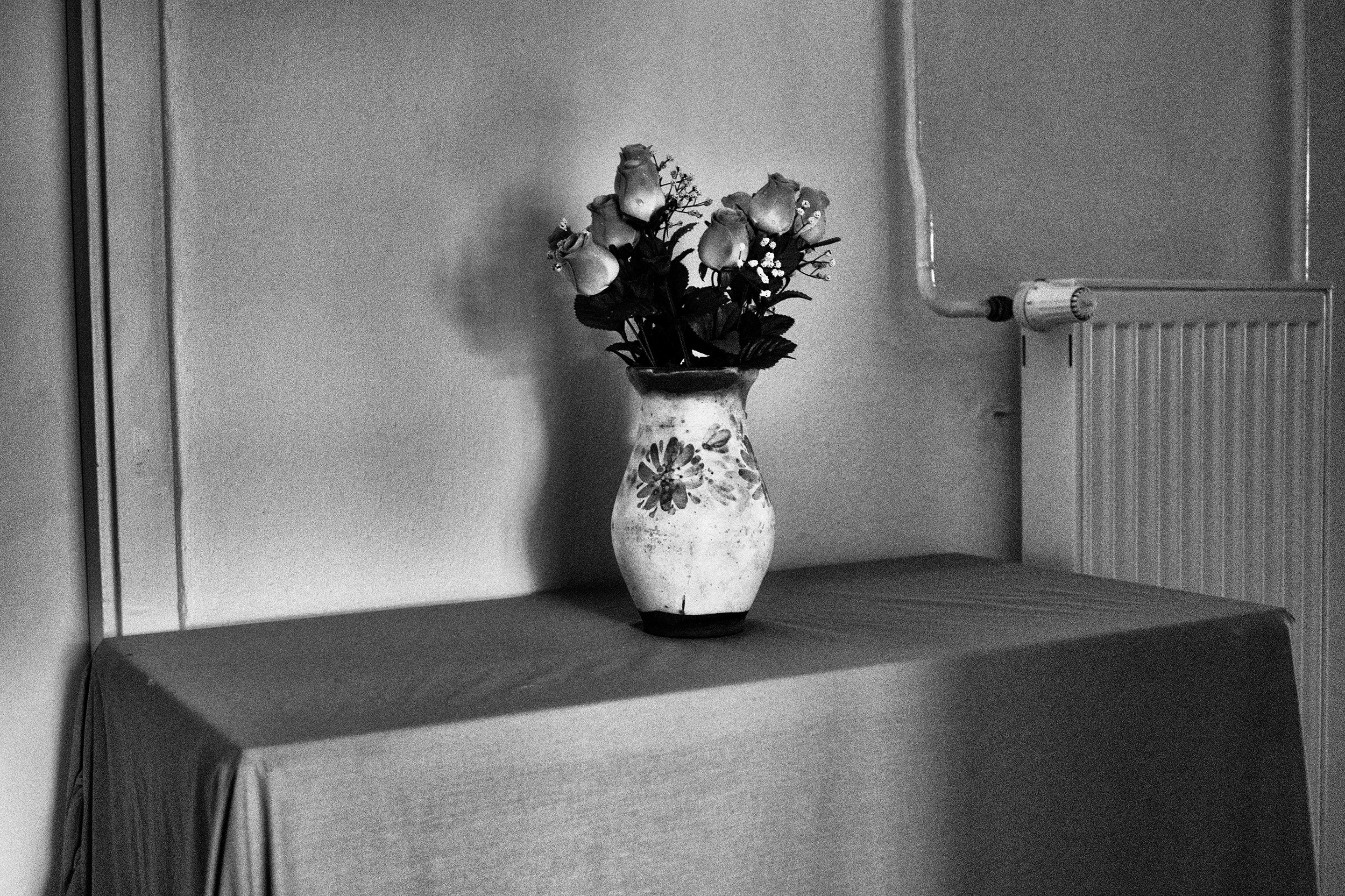 A found flower still life in the back hallway of the dormitory. 2025.