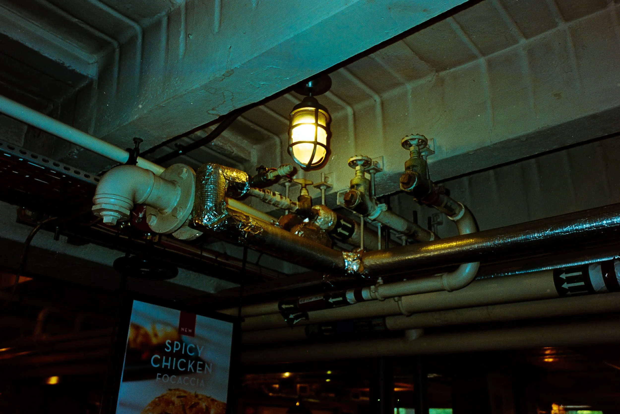 DSC01762.jpg