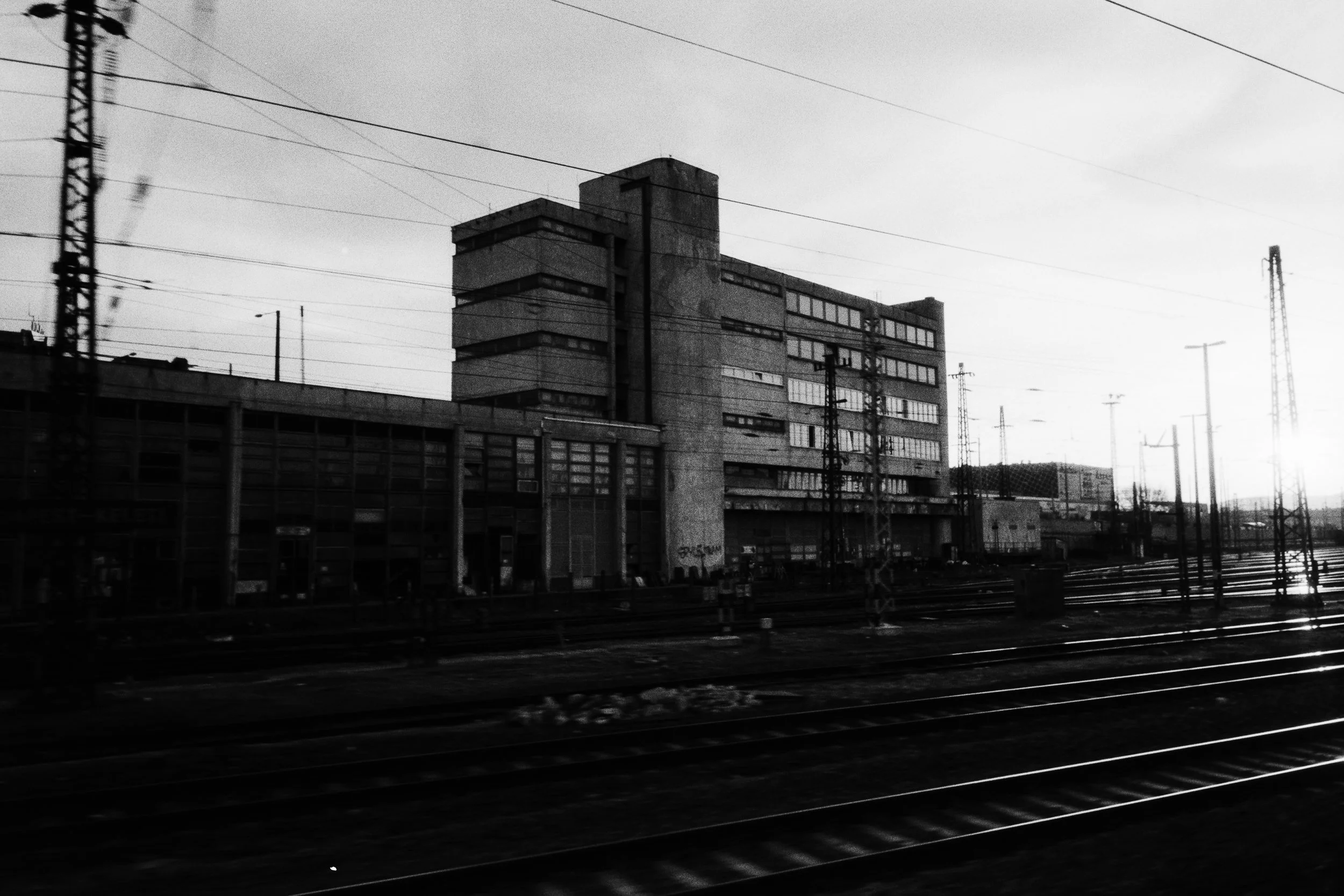 DSC08164.jpg