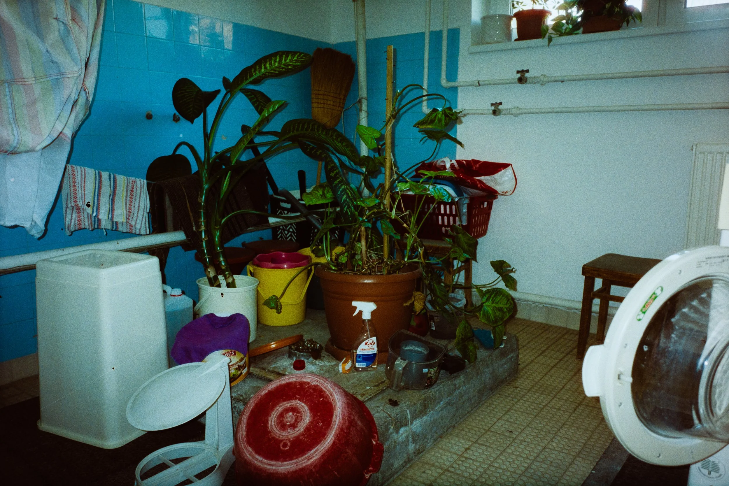 DSC08280.jpg