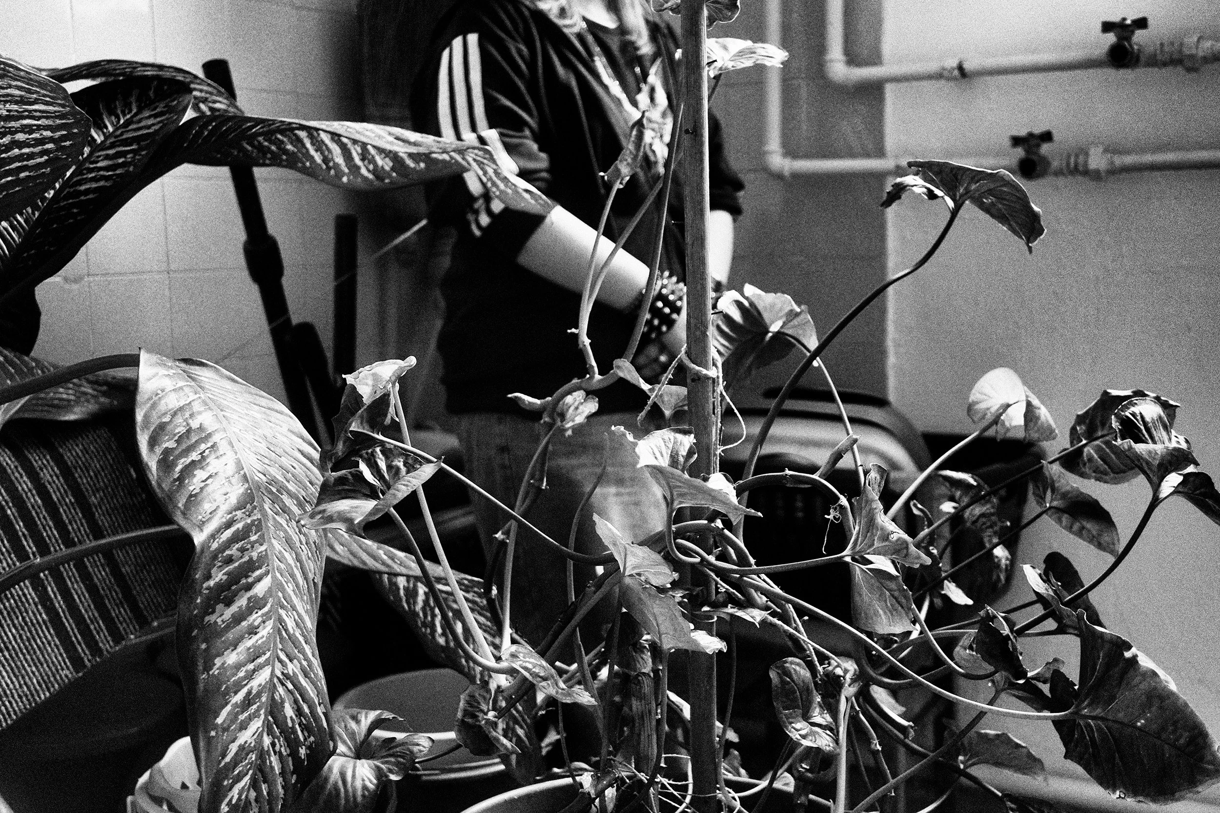 Dormitory laundry. A girl stands behind the flowers. 2025.