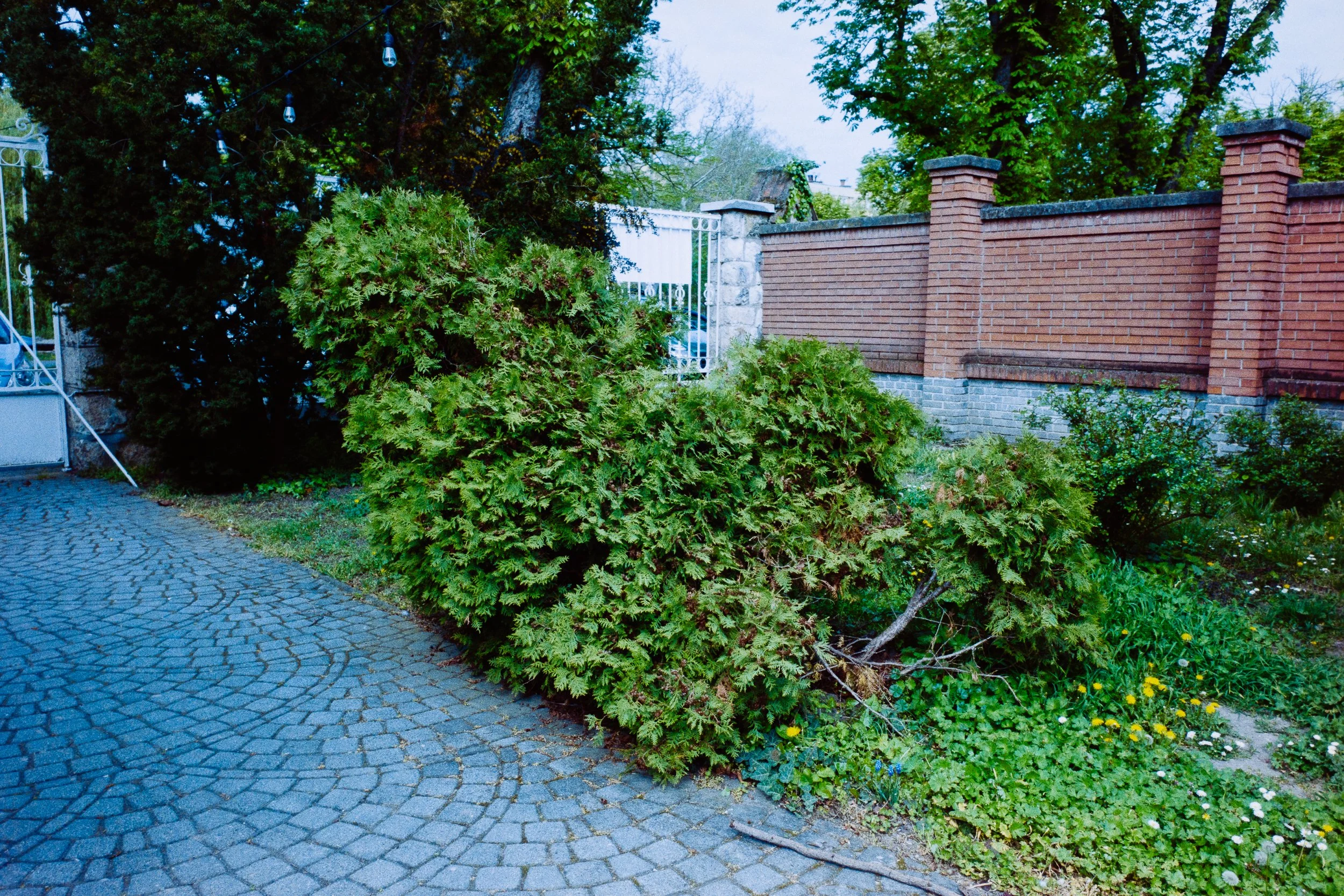 DSC08251.jpg