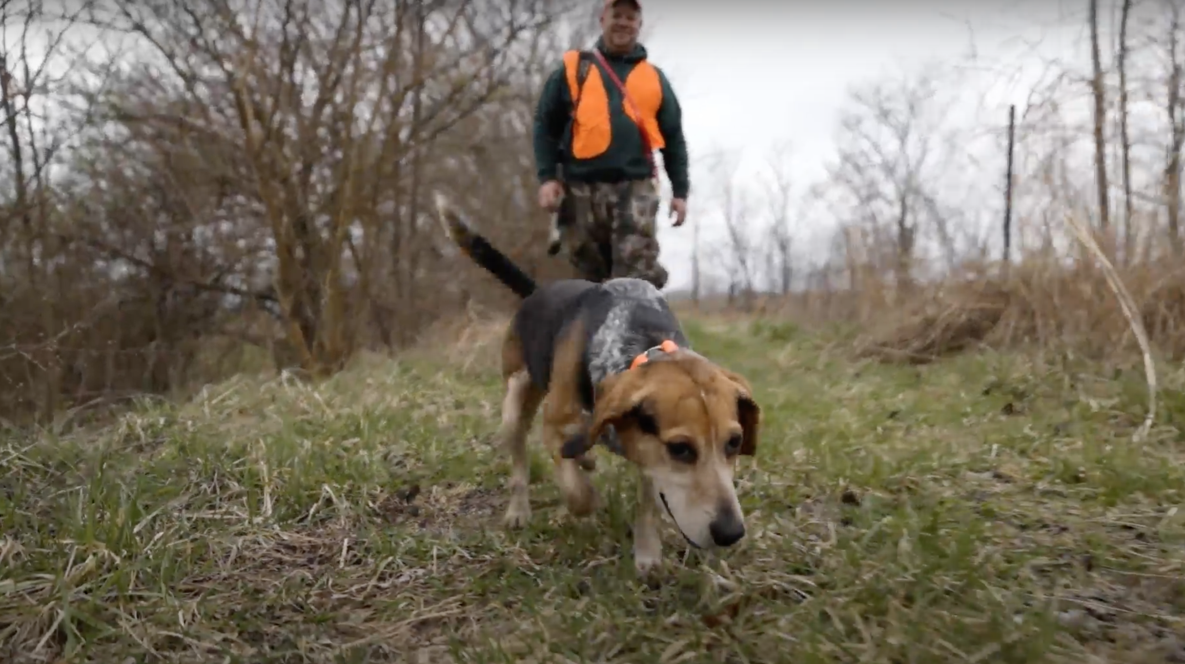 Hunting Dog || Kentucky Videographer