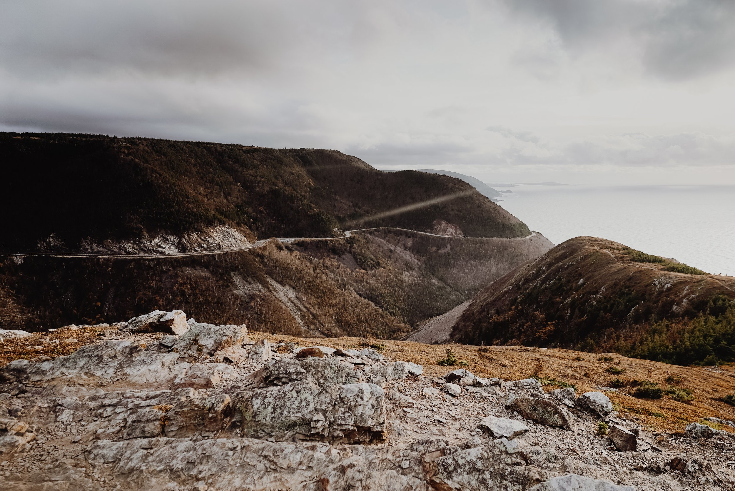 _DSC5698.jpg