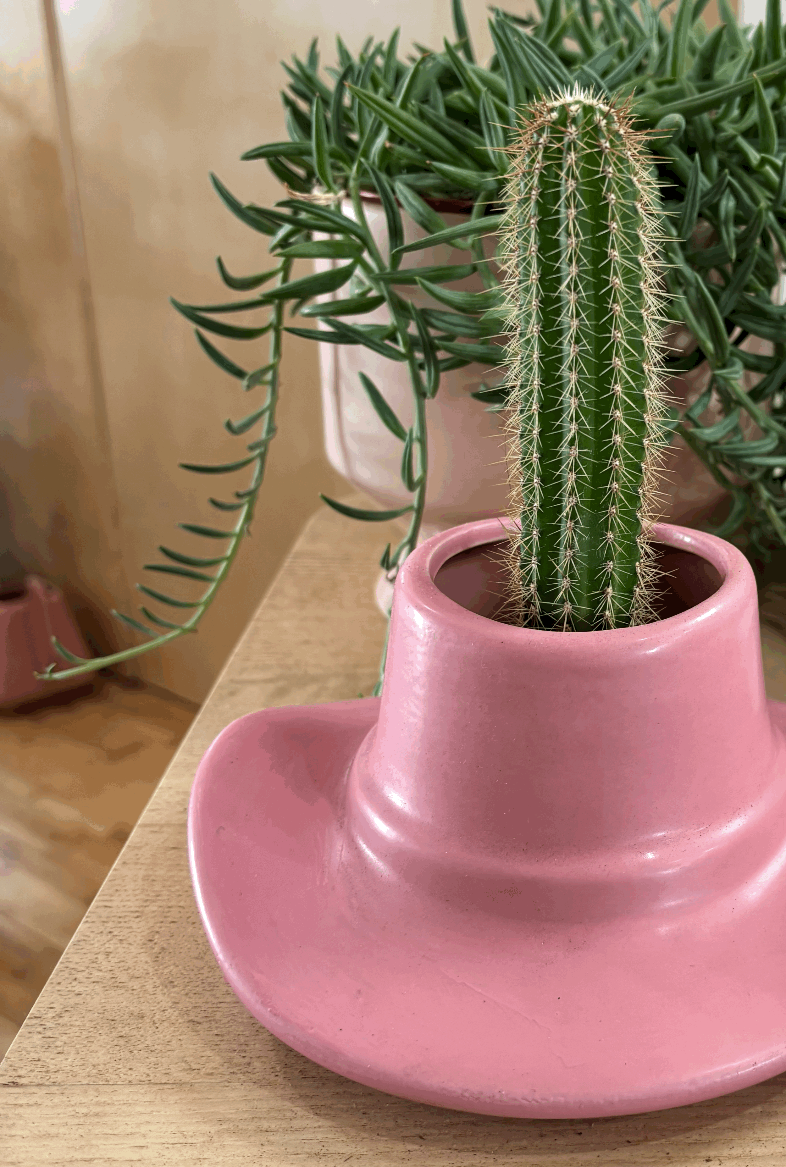 How to Chose the Best Pots for Your Houseplants