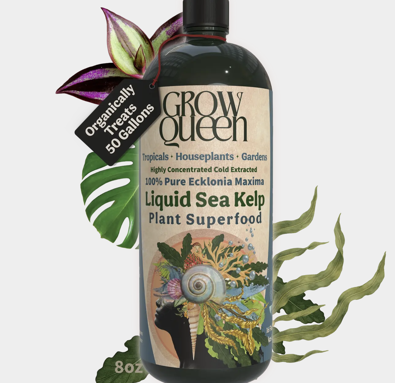 From Sea to Soil: How Seaweed Tincture Helps Your Houseplants Thrive