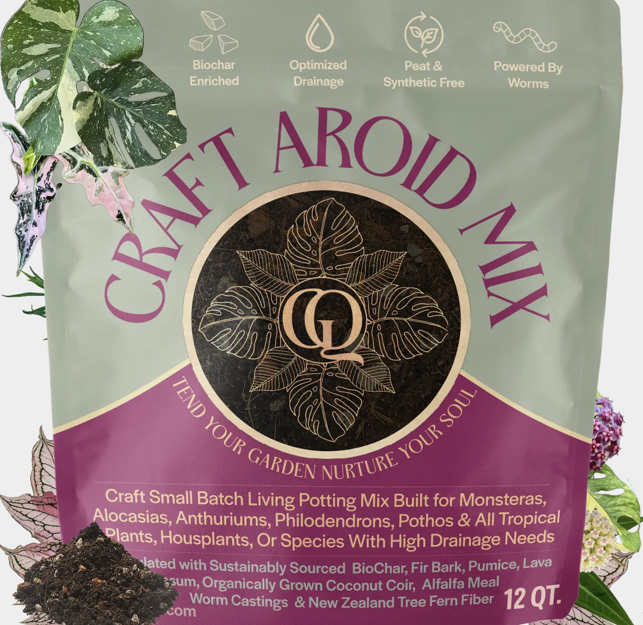 Why the Right Soil Makes All the Difference: Grow Queen. Better Soil. Better Plants.