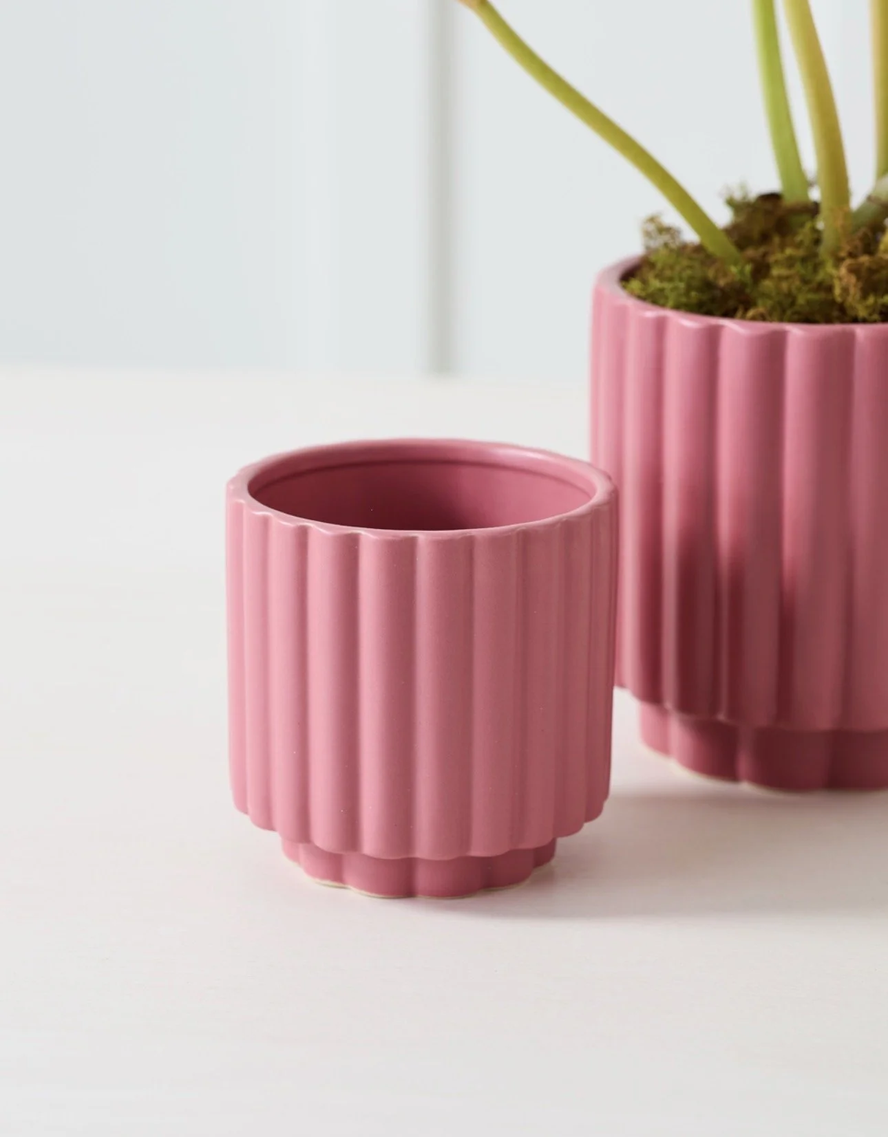 Dark Pink Carmen Pot 4.5"