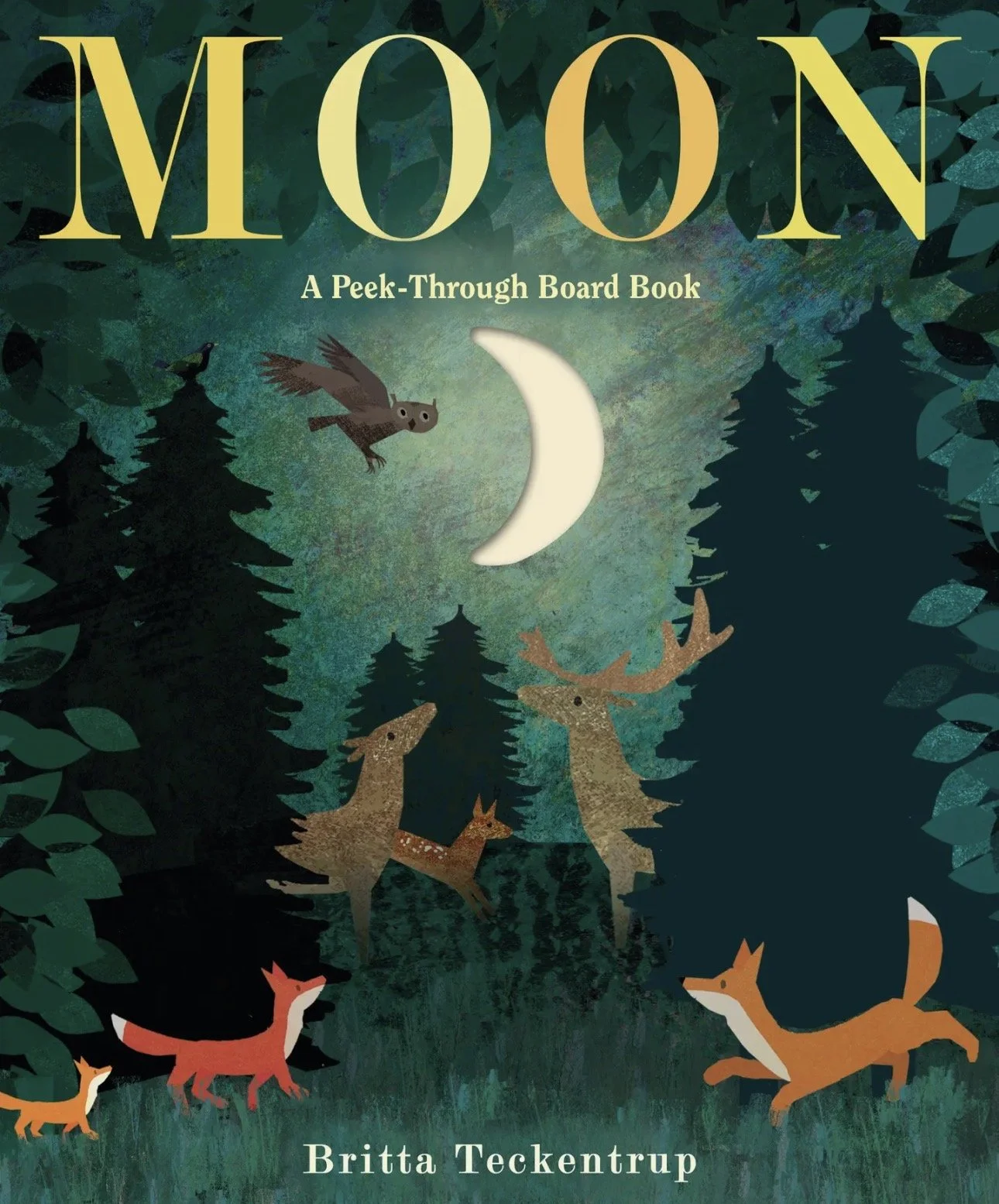Moon: A Peek-Through Board Book